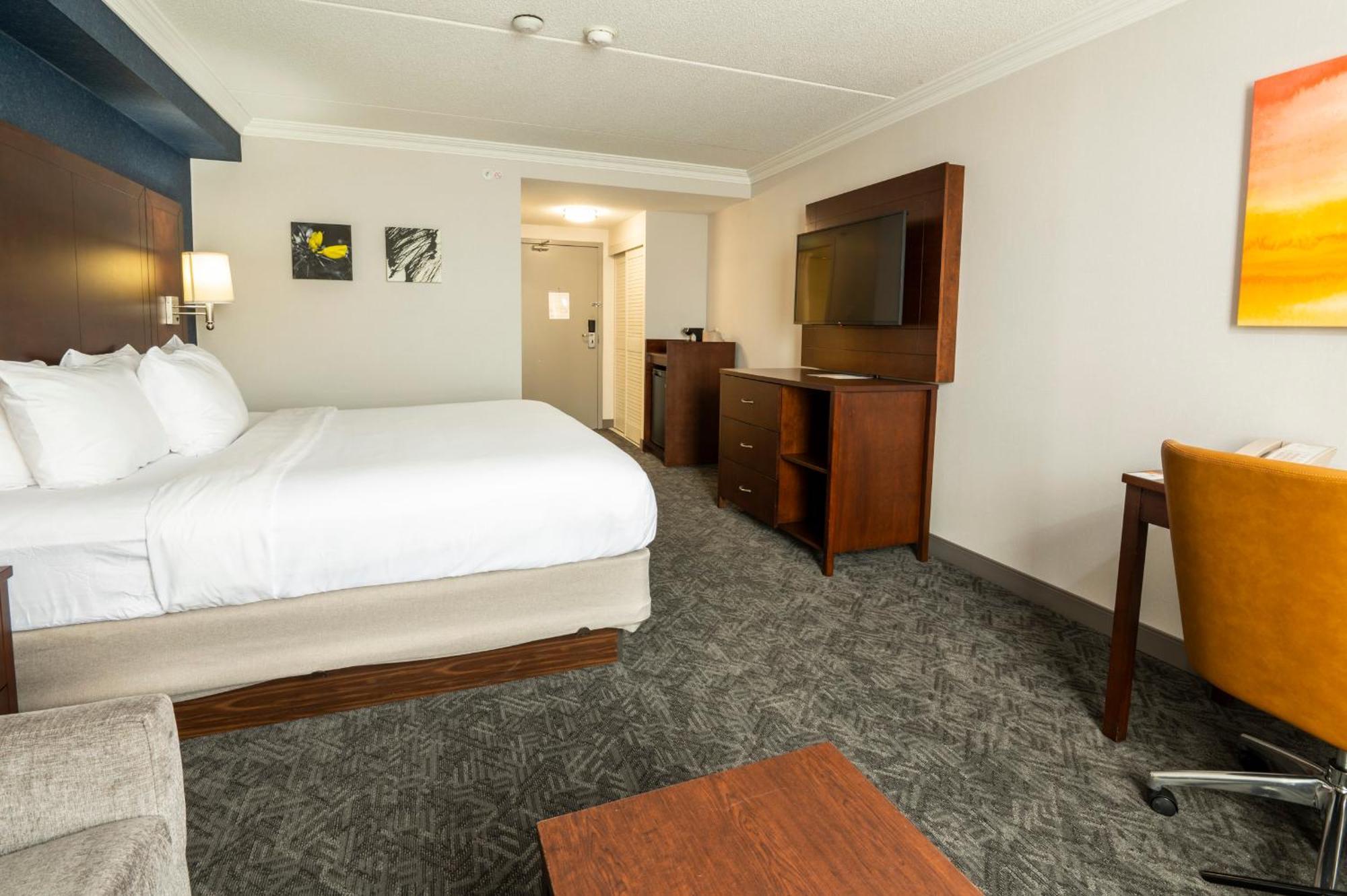 King Room Sofa-Bed Non Smoking