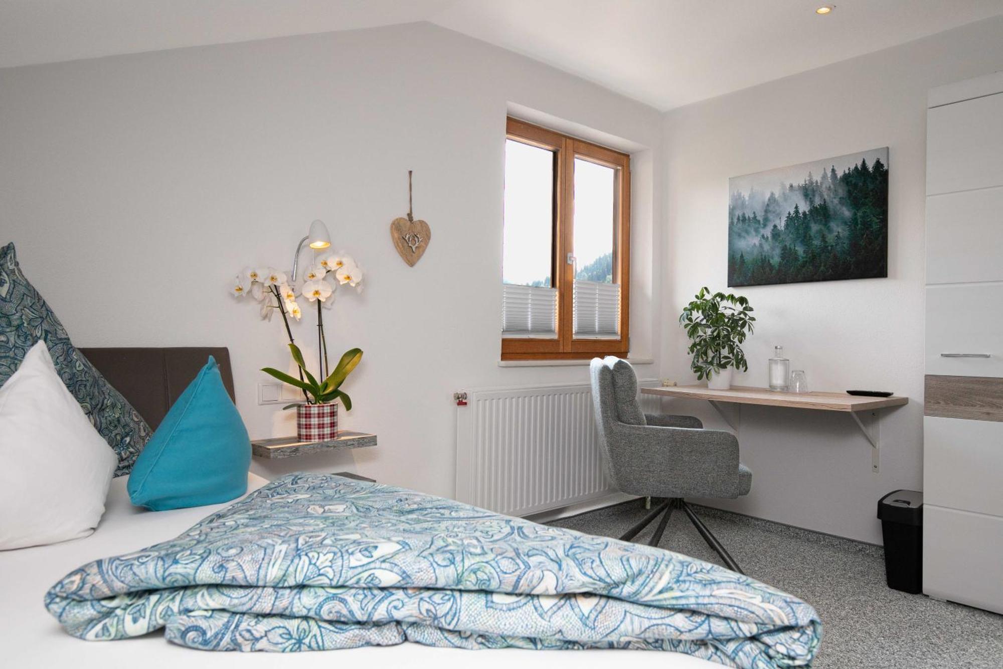 Standard Single Room Mountain View