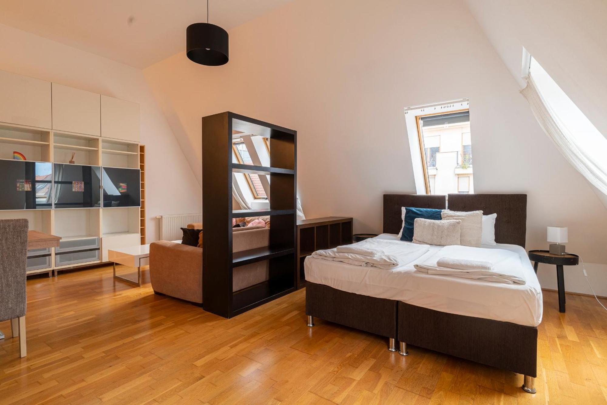 Deluxe One-Bedroom Apartment