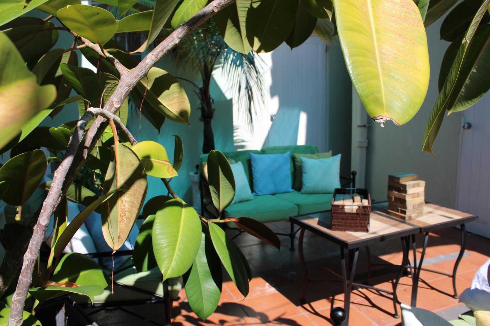 Basic One-Bedroom Apartment