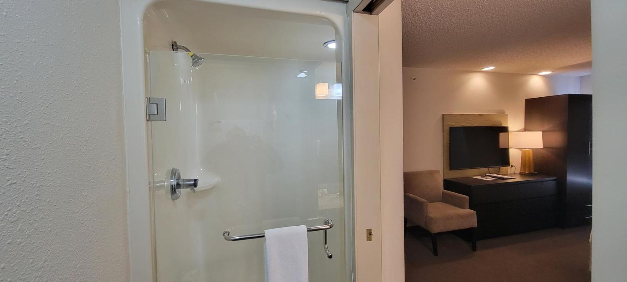 King Studio Suite Non-Smoking