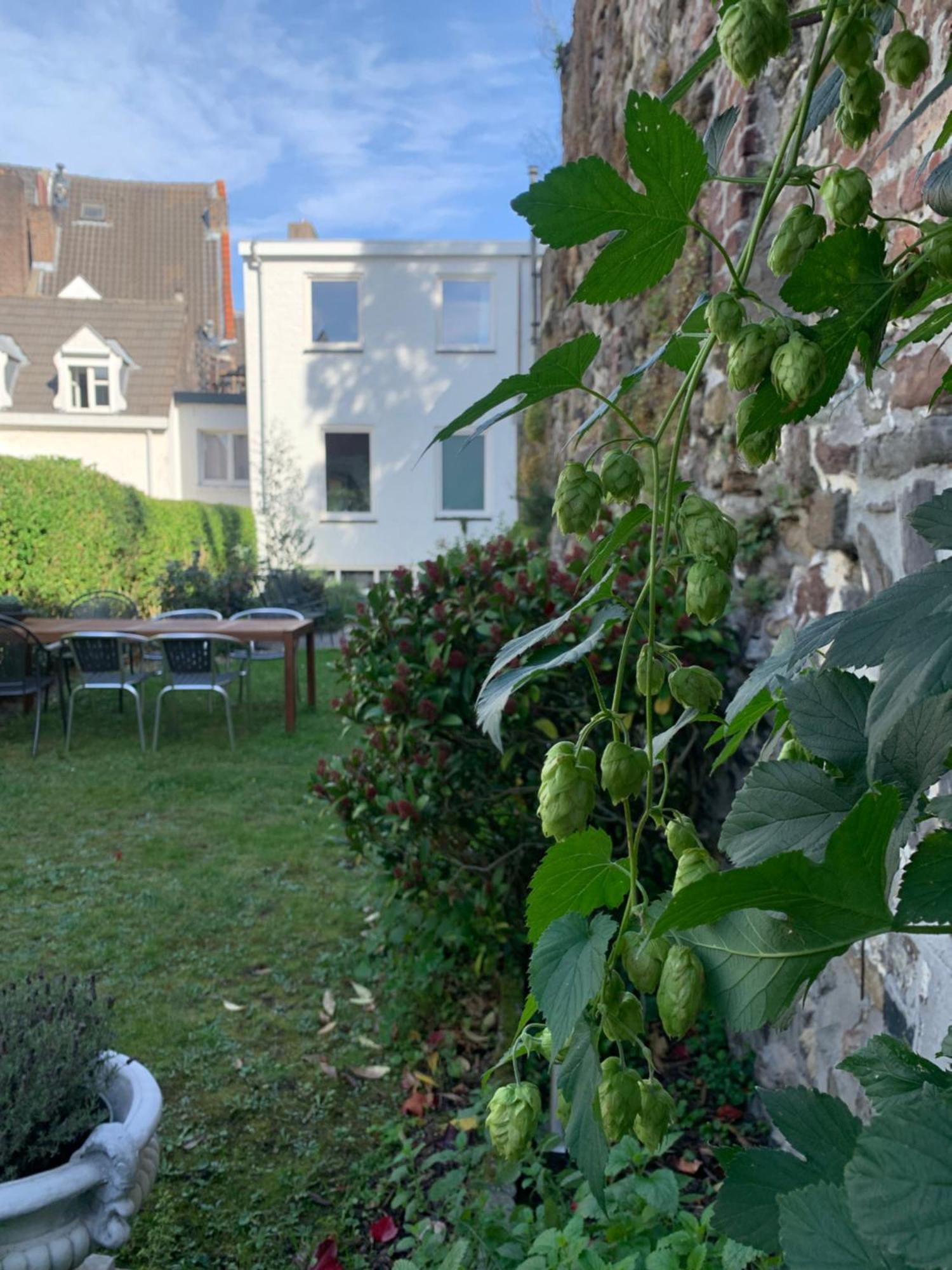 Double Room Garden View