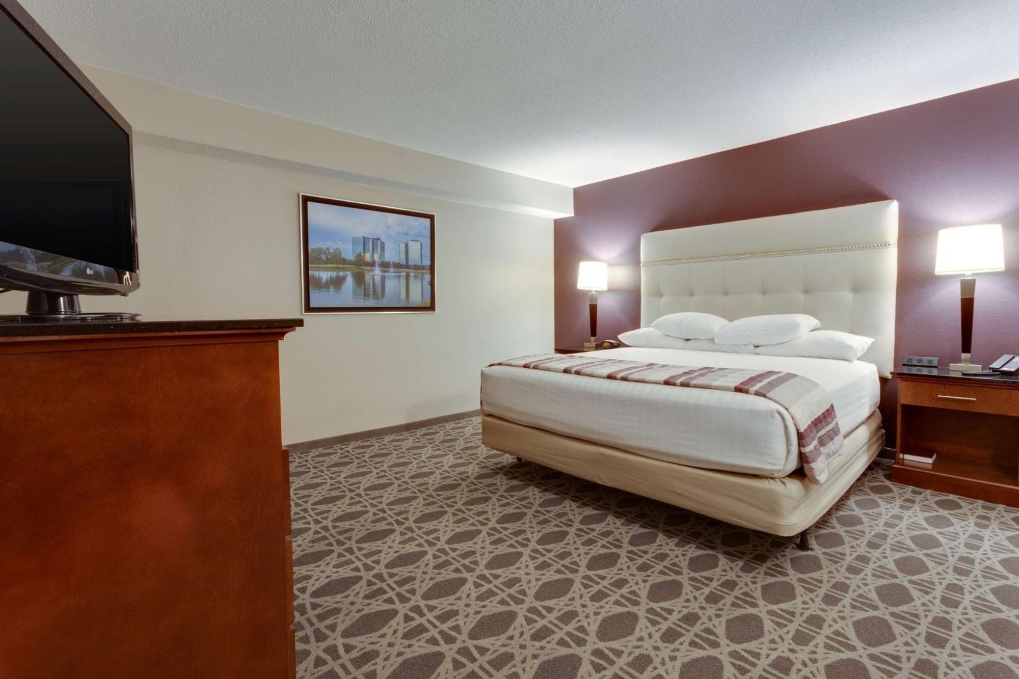 King Suite with Sofa Bed