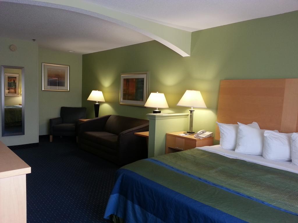 Studio Suite with King Bed and Sofa Bed