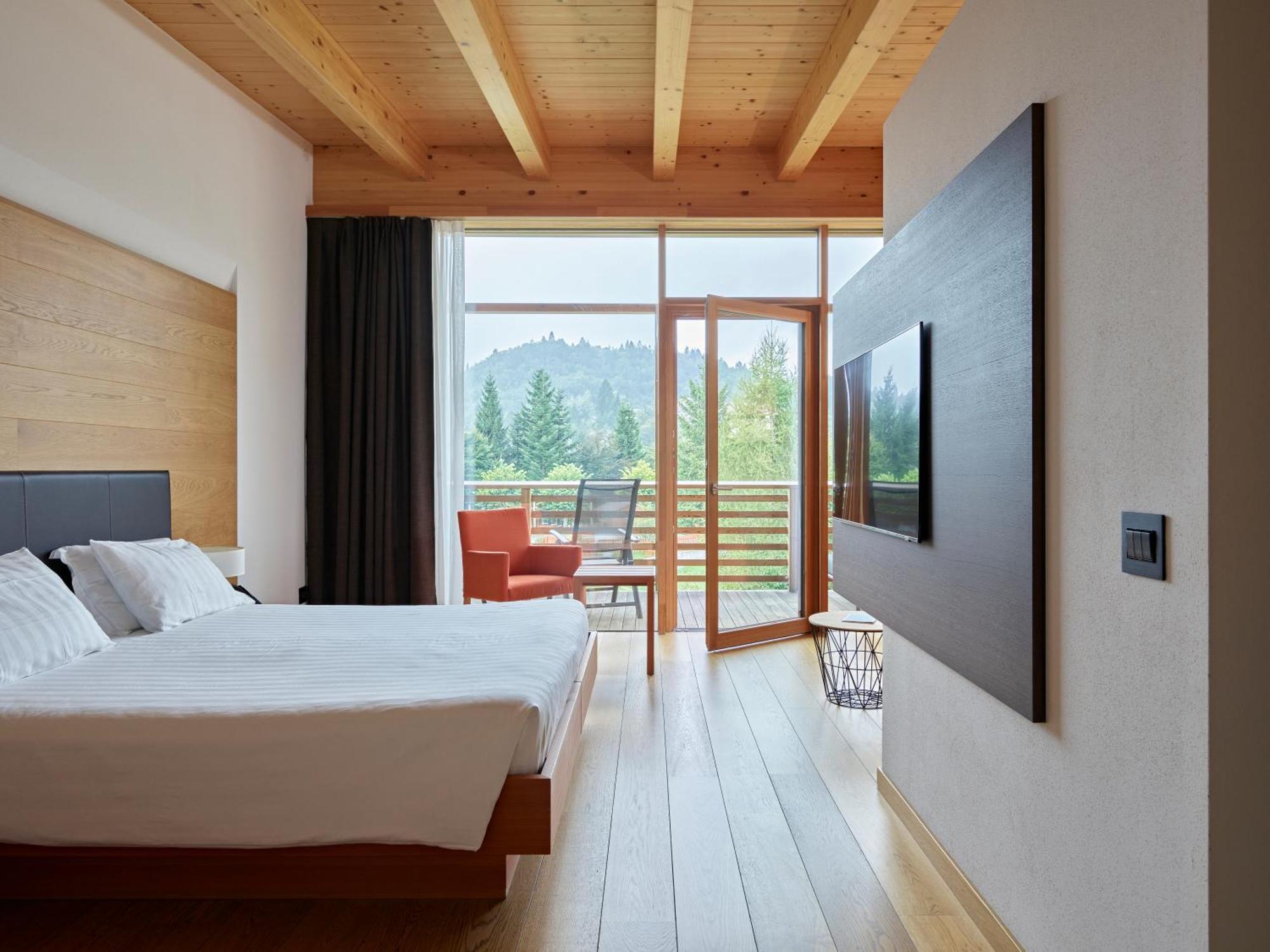 Superior Double Room Mountain View