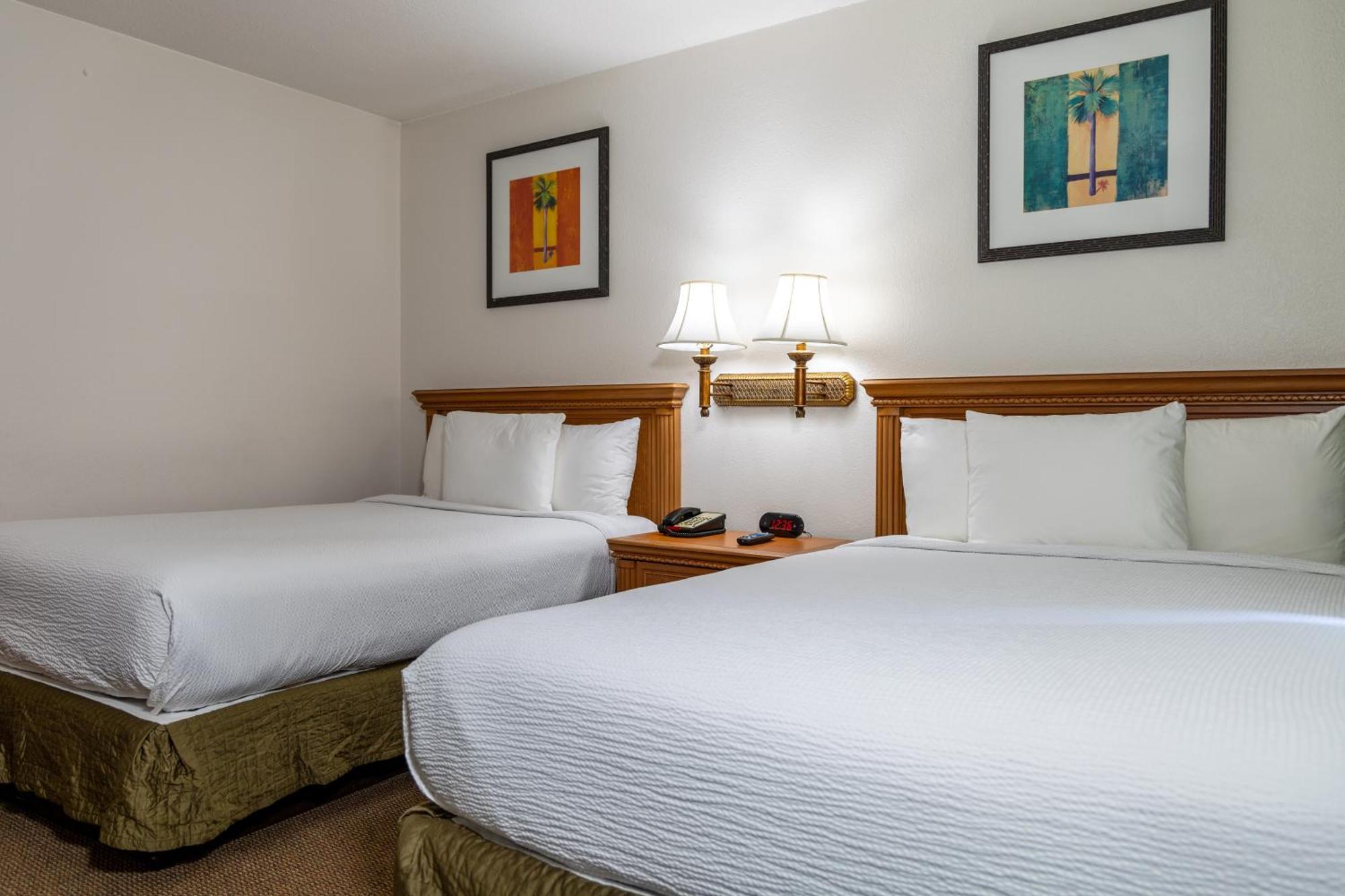 Mini Suite,1545227743:JPEG