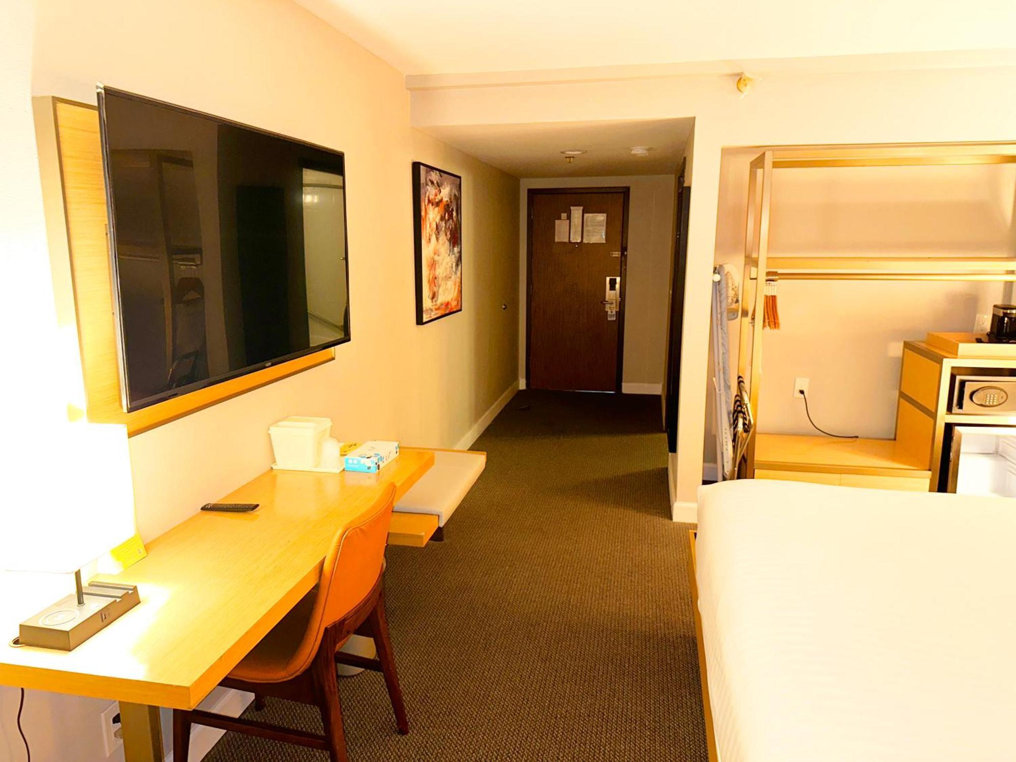 King Room Mobility Accessible Bath Tub