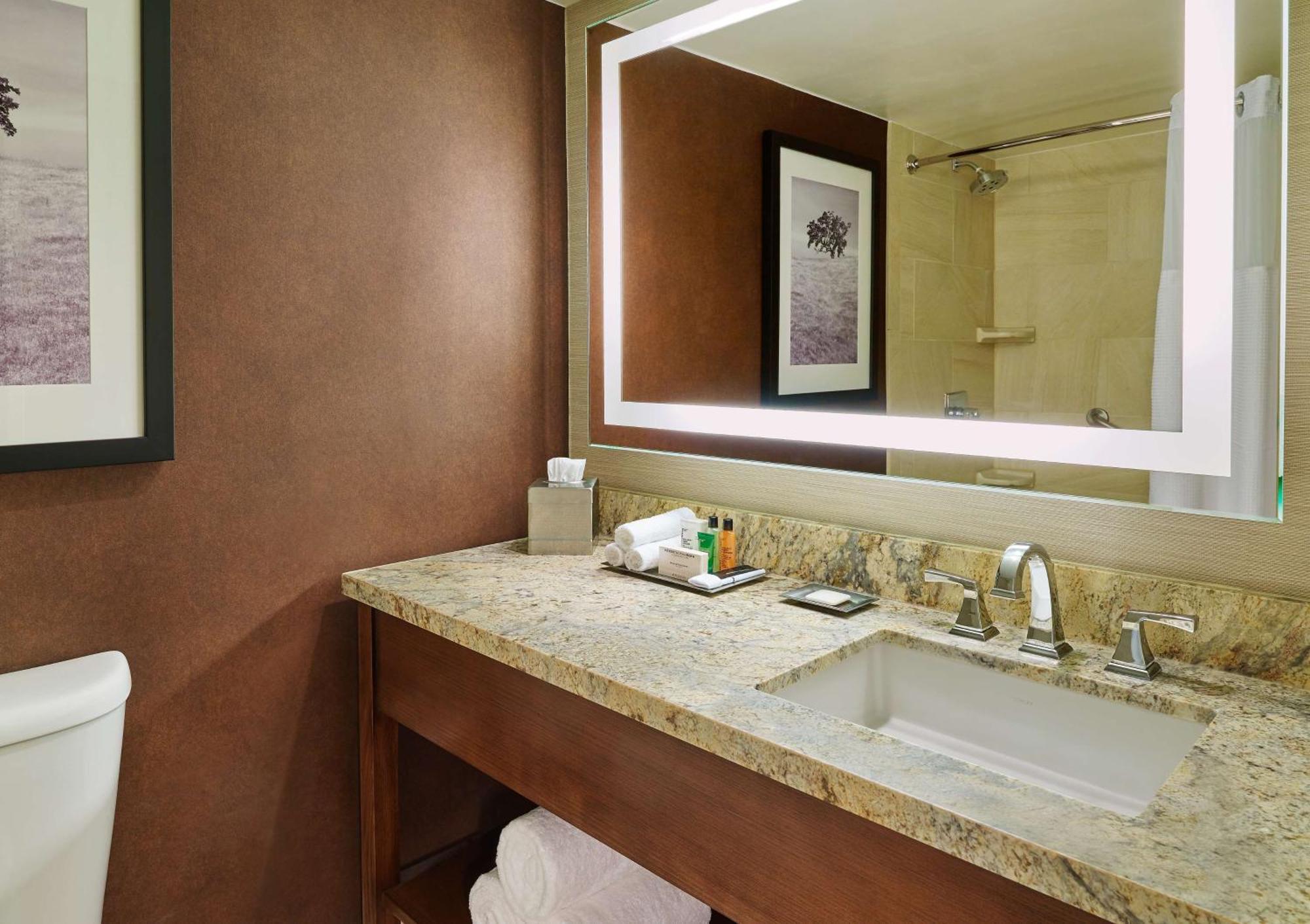 Junior King Suite with Sofa Bed