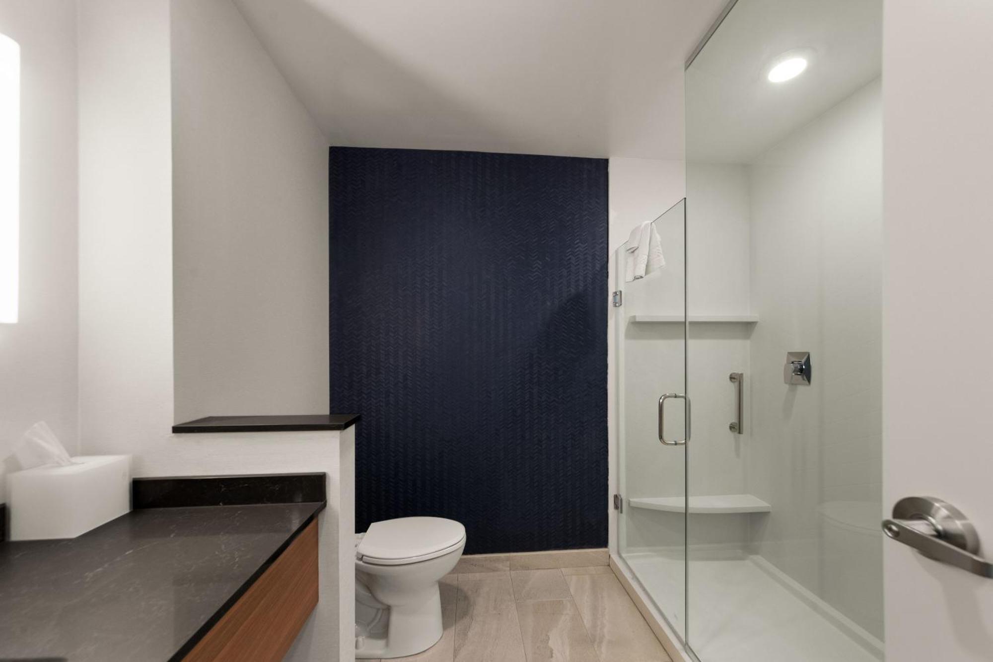King Suite with Roll-In Shower and Sofa Bed - Mobility Access/Hearing Accessible