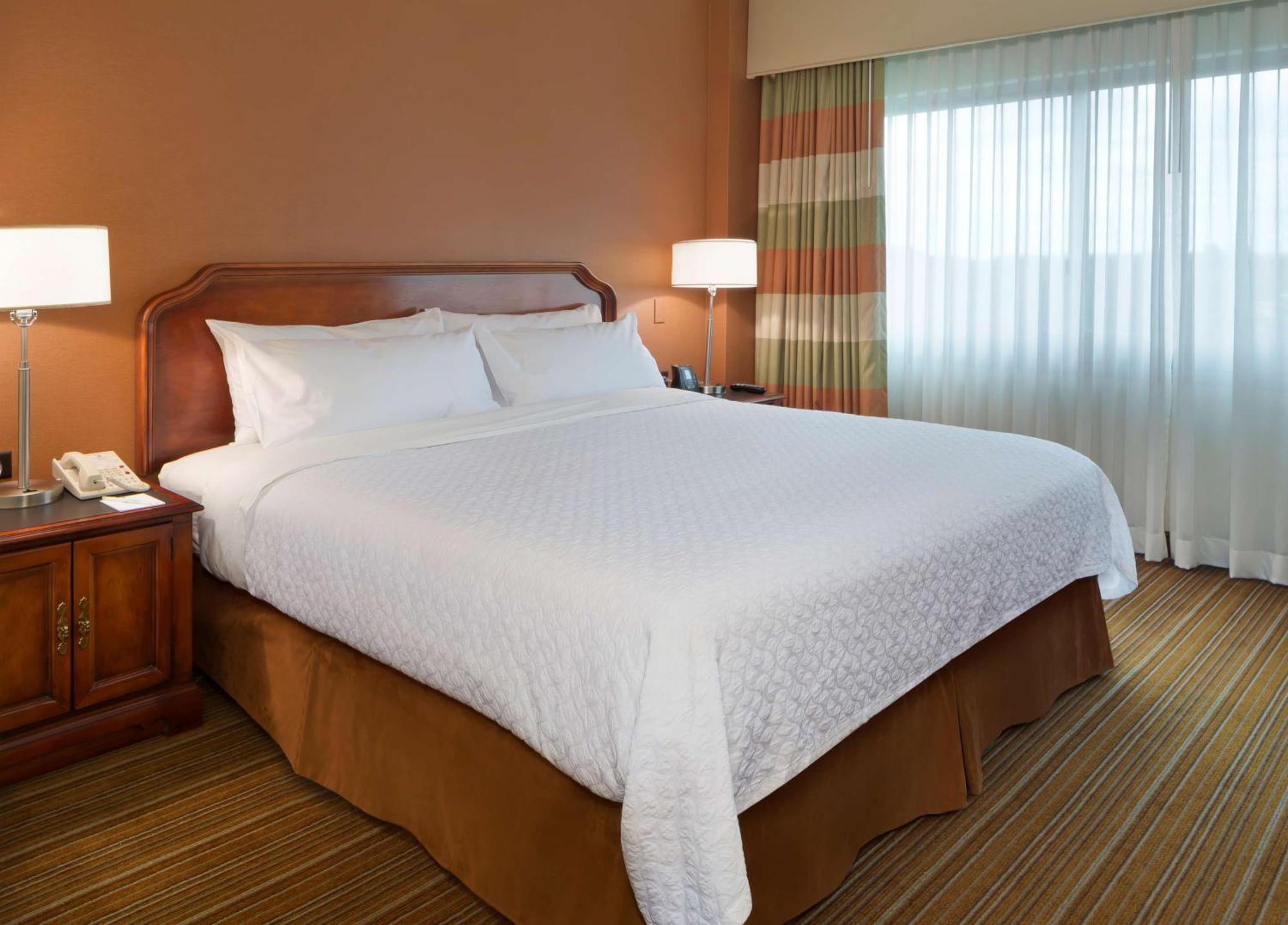 King Suite - Non-Smoking,1547399404:JPEG