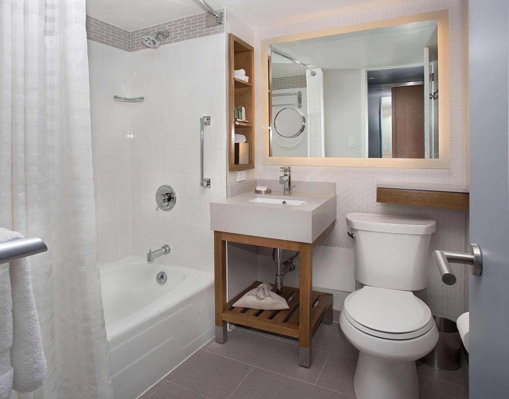 Executive Suite 1 King Bed With Sofa Bed,1673931213:JPEG