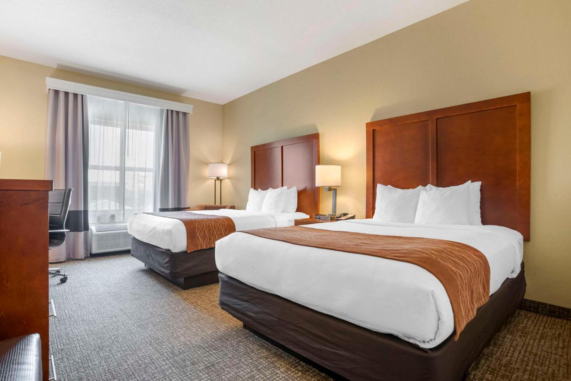 Queen Room Two Queen Beds