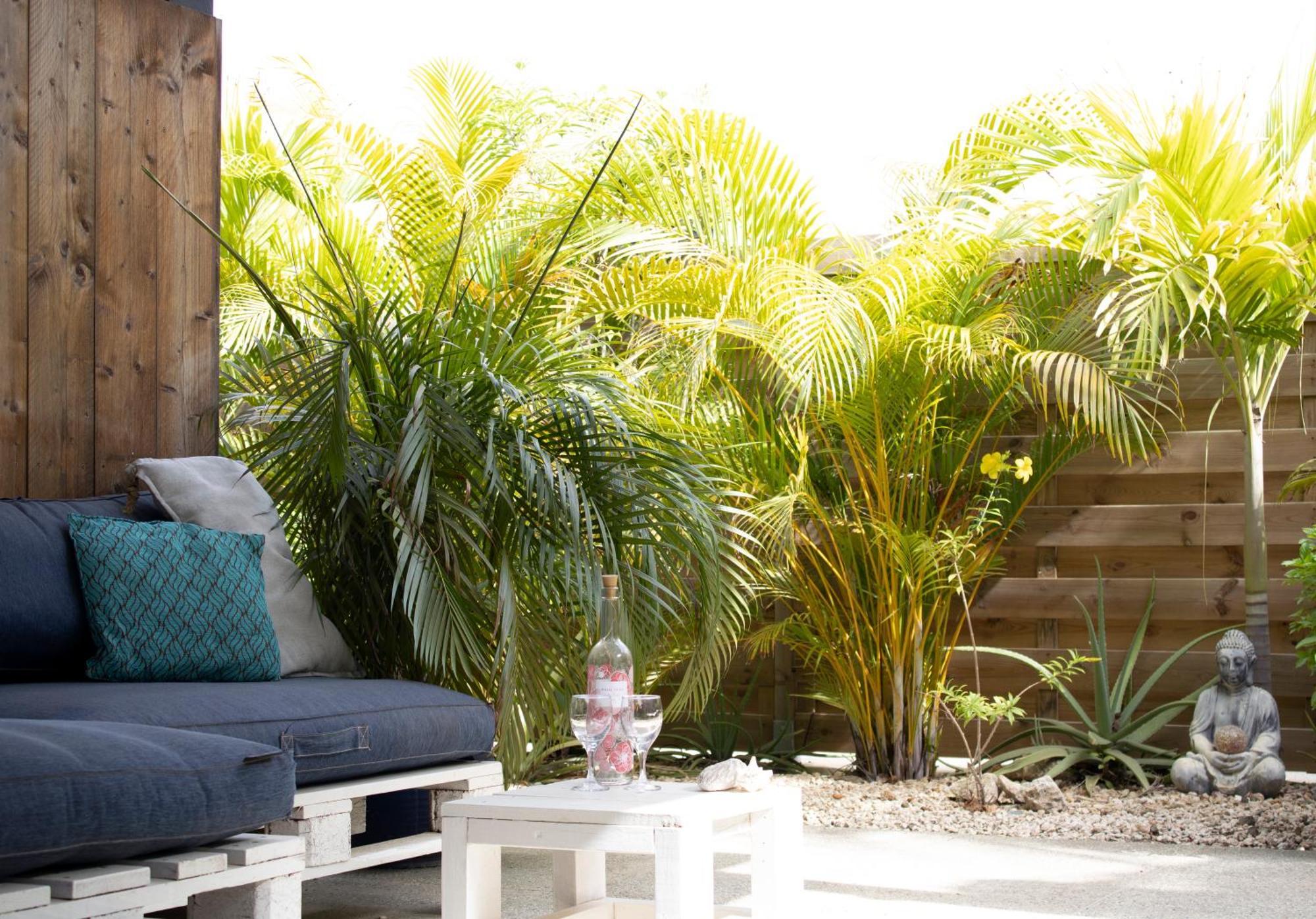 Studio Terrace