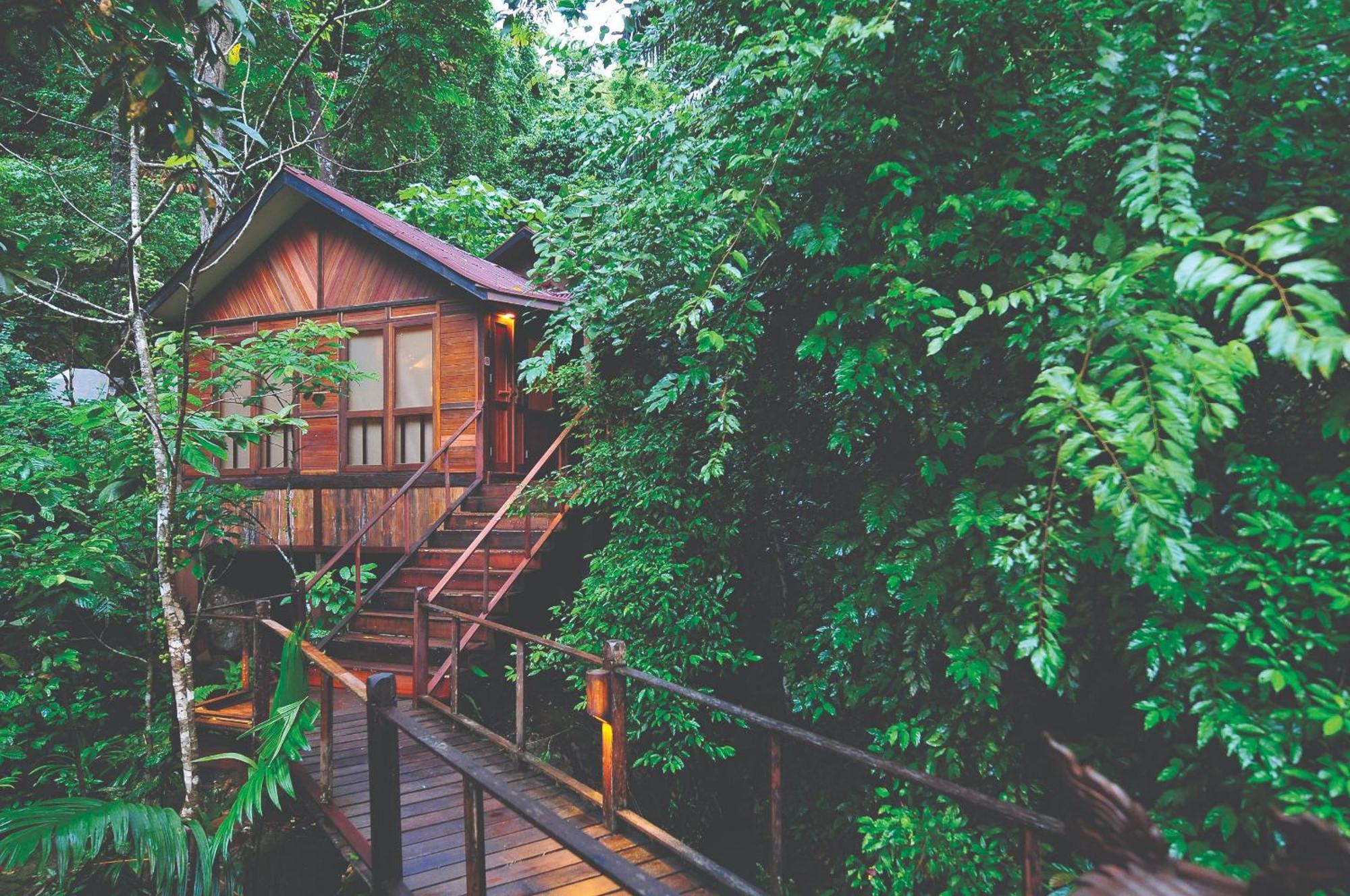 Jungle Luxe Sarang Terrace Plunge Pool