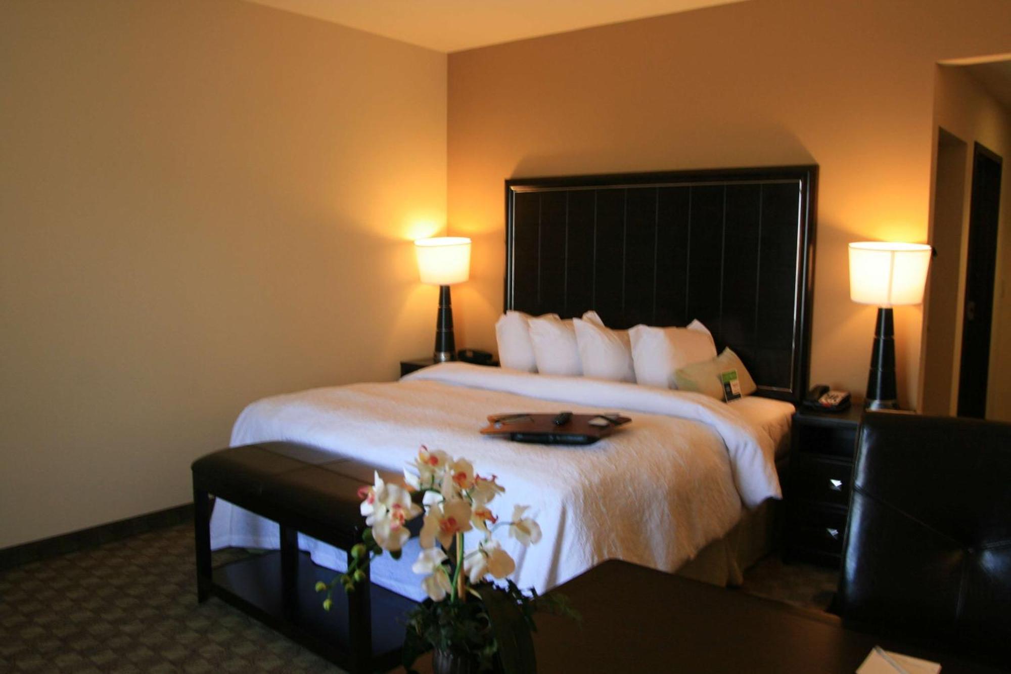 King Room Accessible Tub Mobility Hearing Access or Non-Smoking