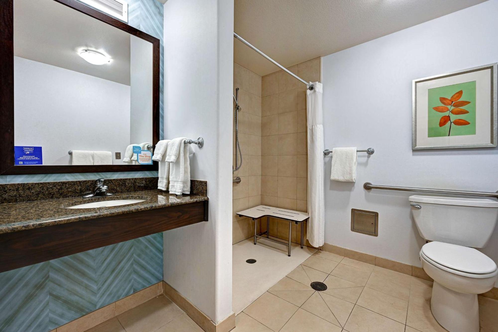 King Room Roll Shower Mobility or Hearing Accessible
