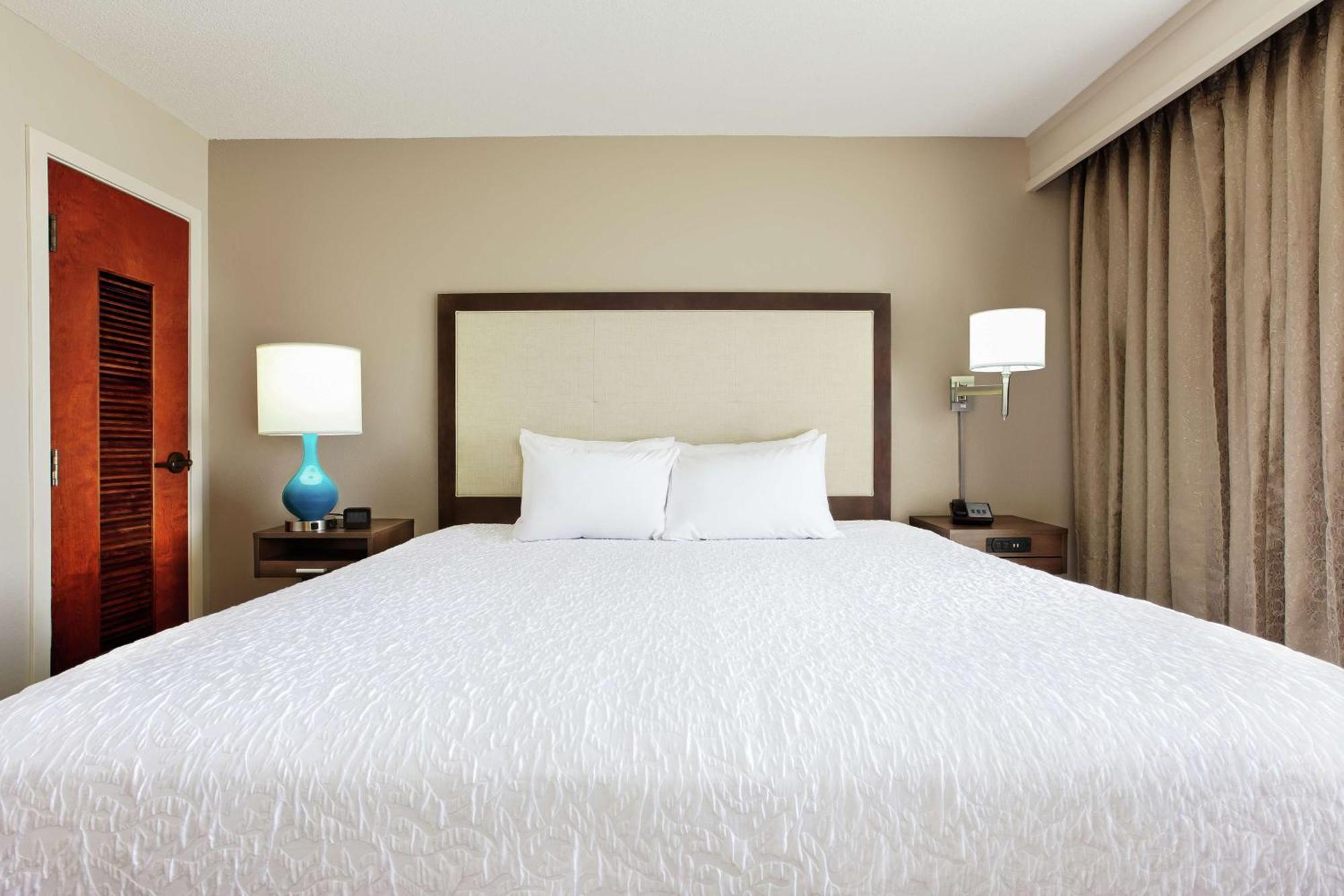 One-Bedroom King Suite Non-Smoking