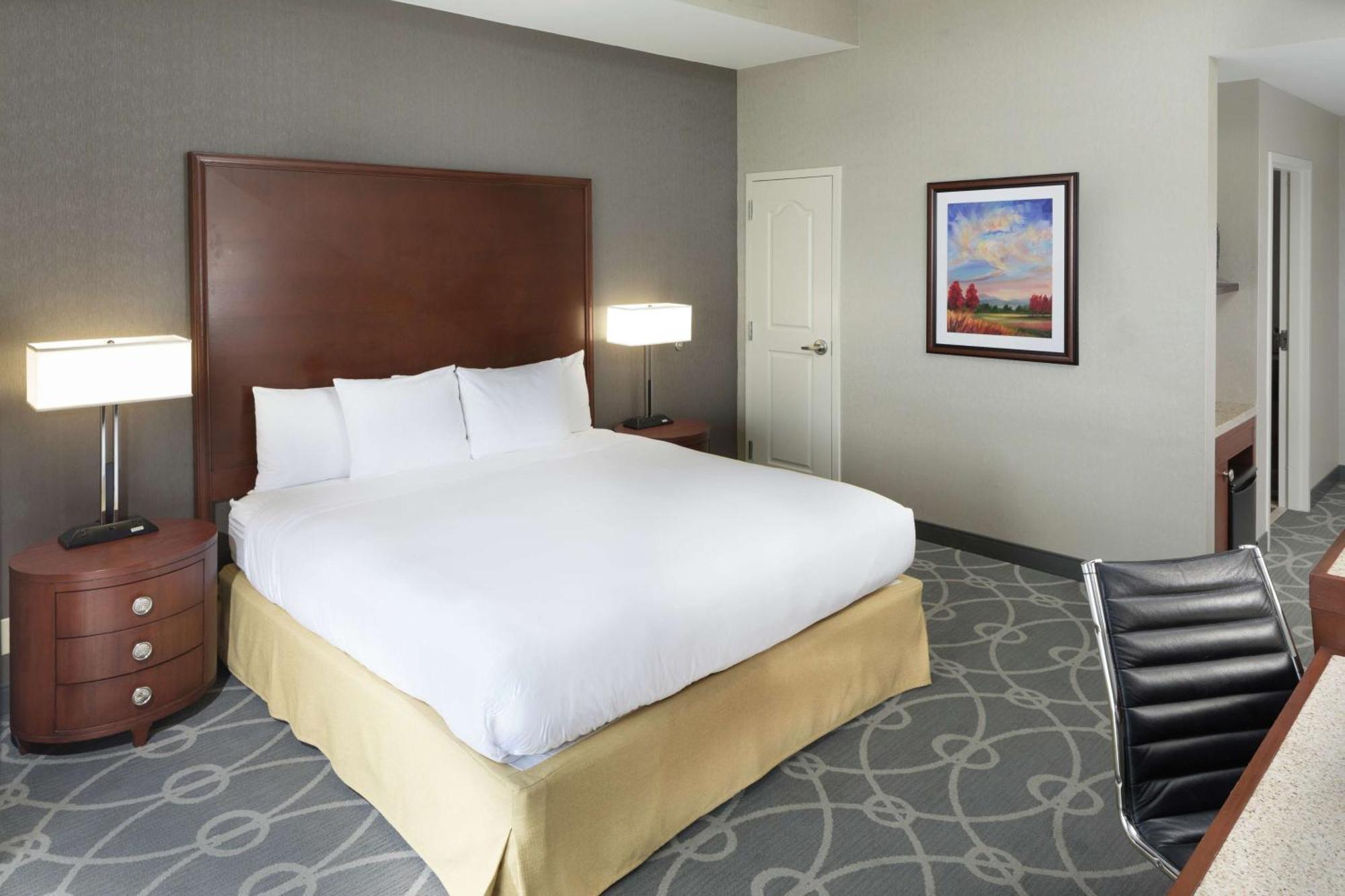 Premium King Room Non-Smoking