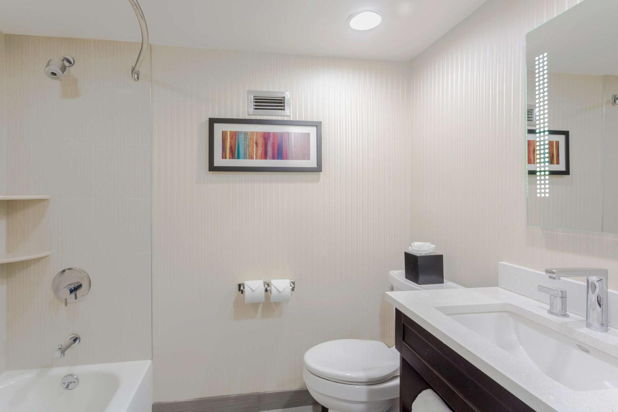 One-Bedroom King Suite Non-Smoking