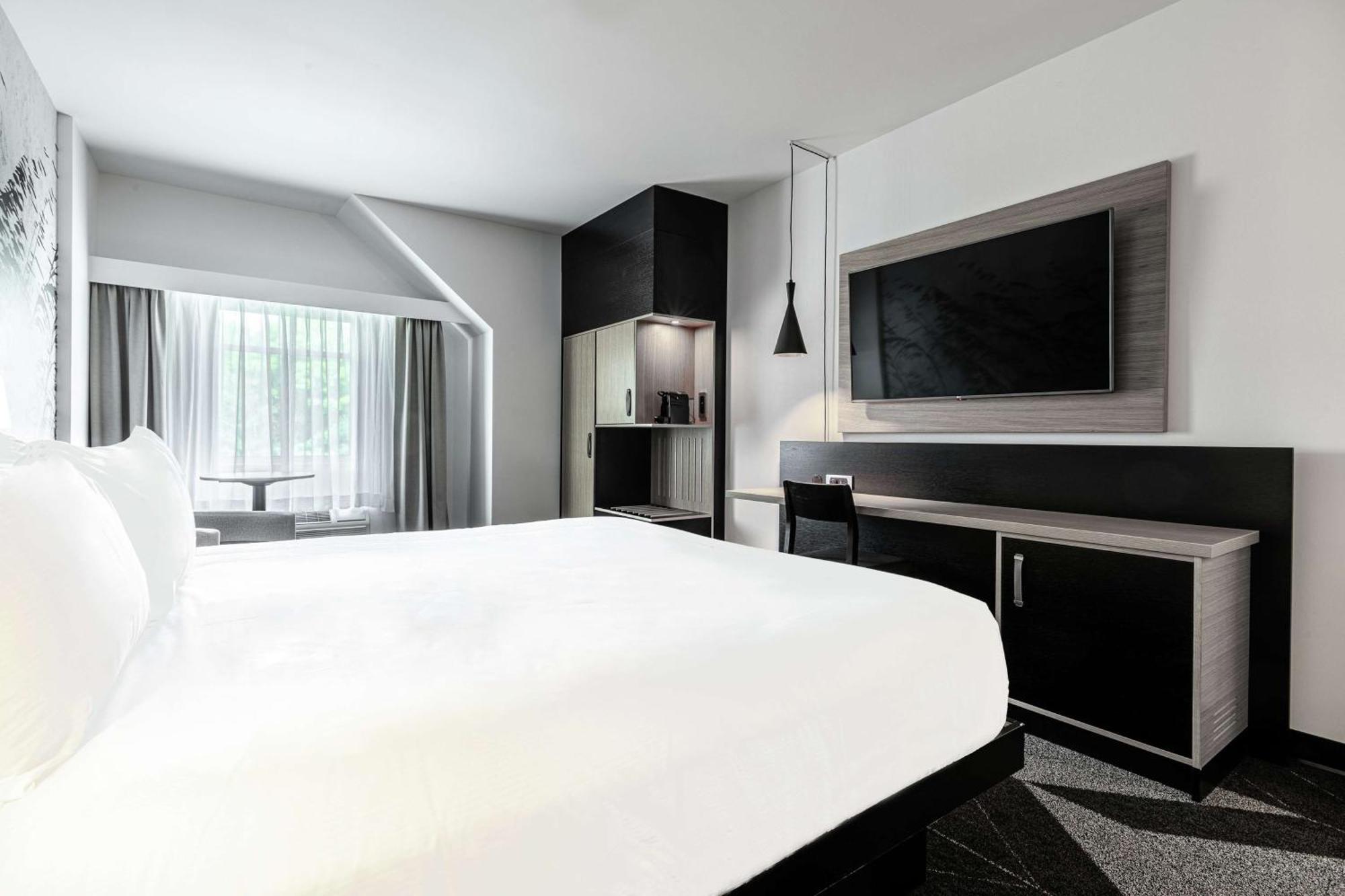 King Room,1551425044:JPEG