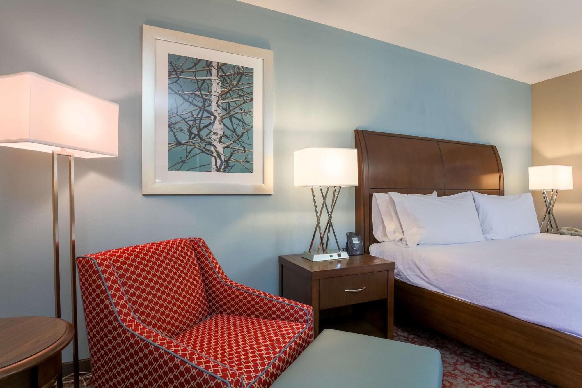 Evolution King Room