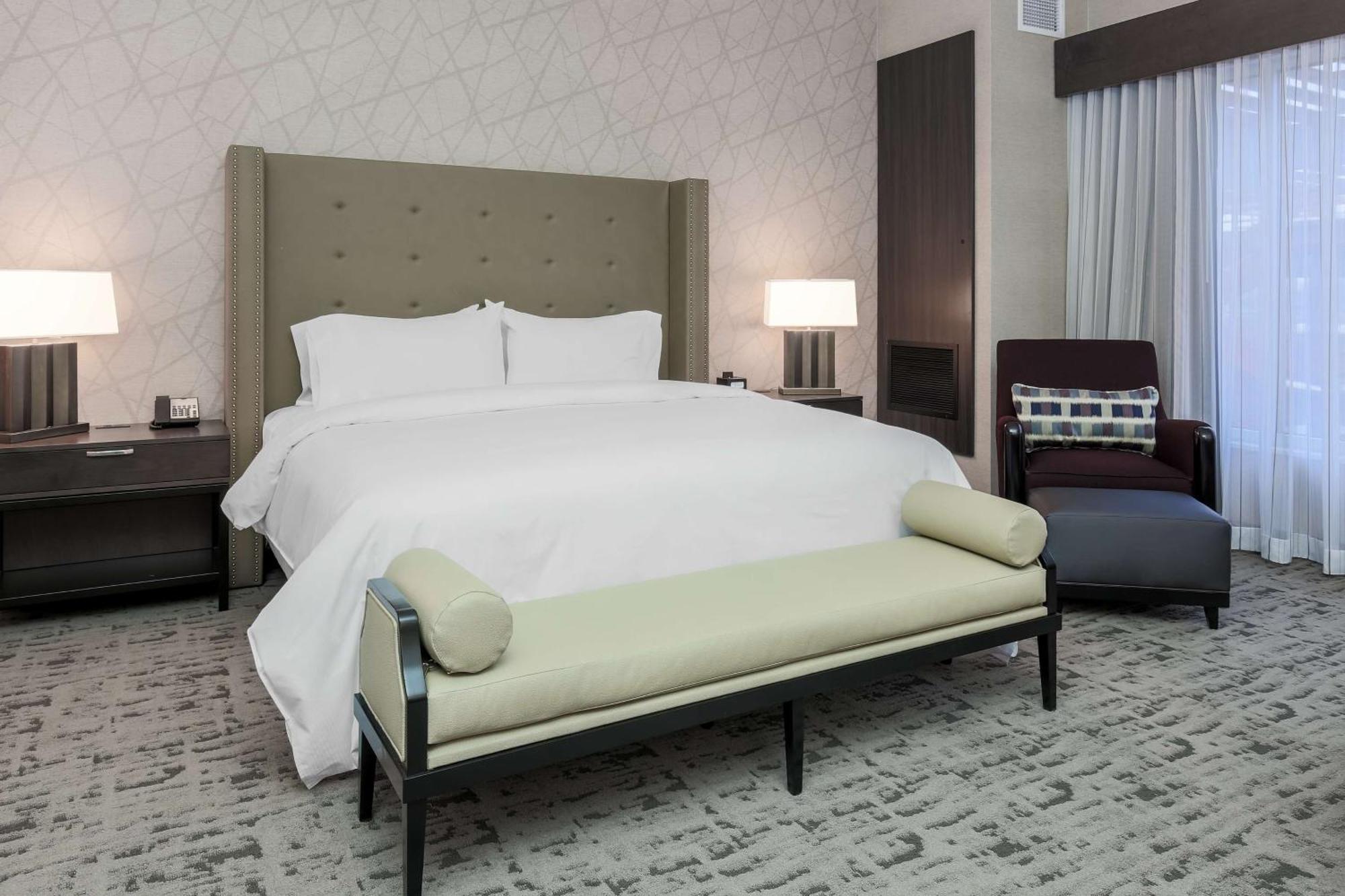 Junior King Suite with Sofa Bed