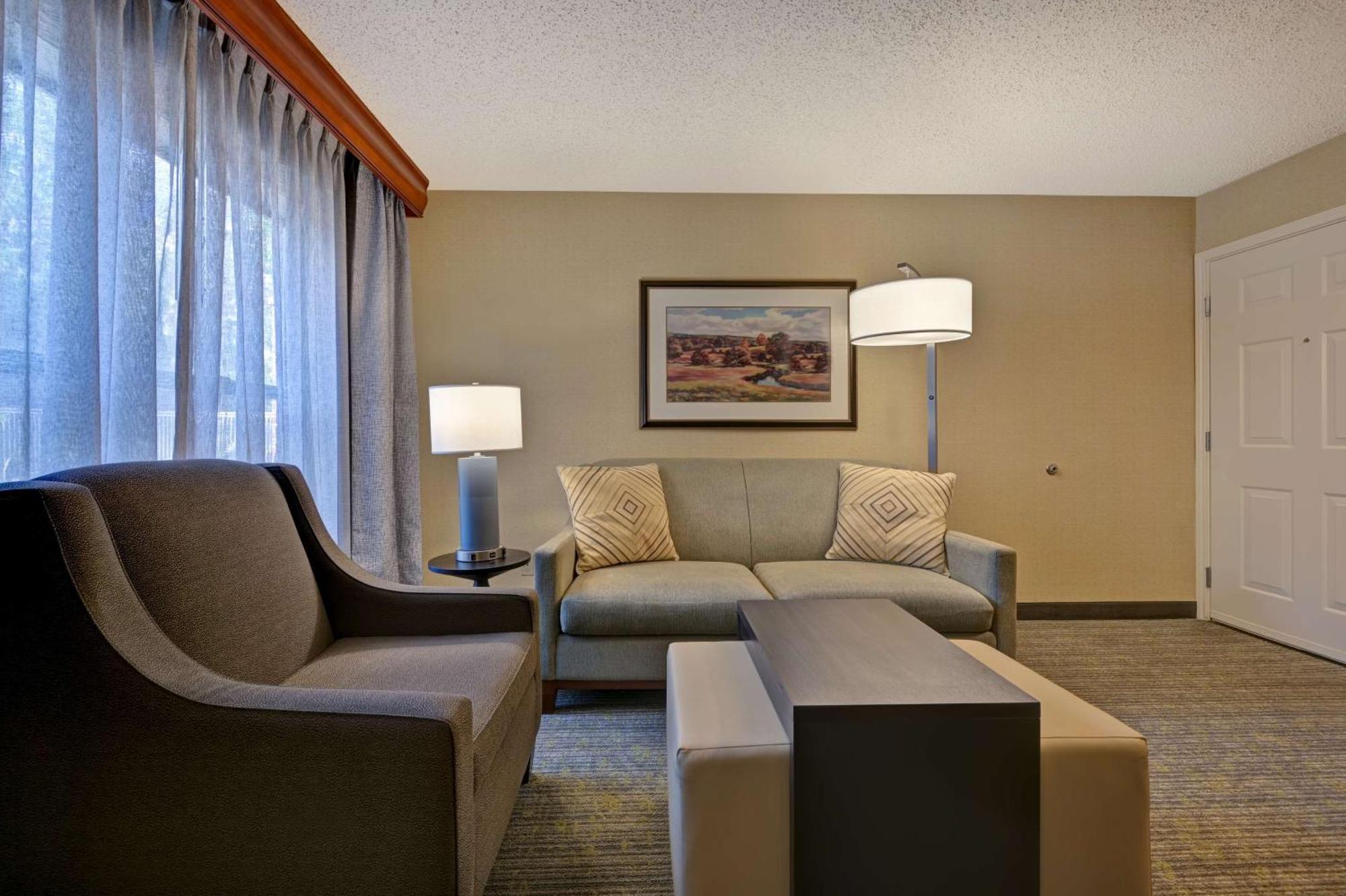 One-Bedroom King Suite Non-Smoking