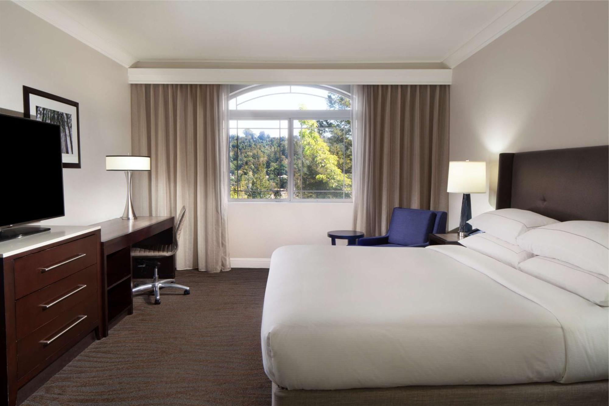One-Bedroom King Suite Patio or Balcony