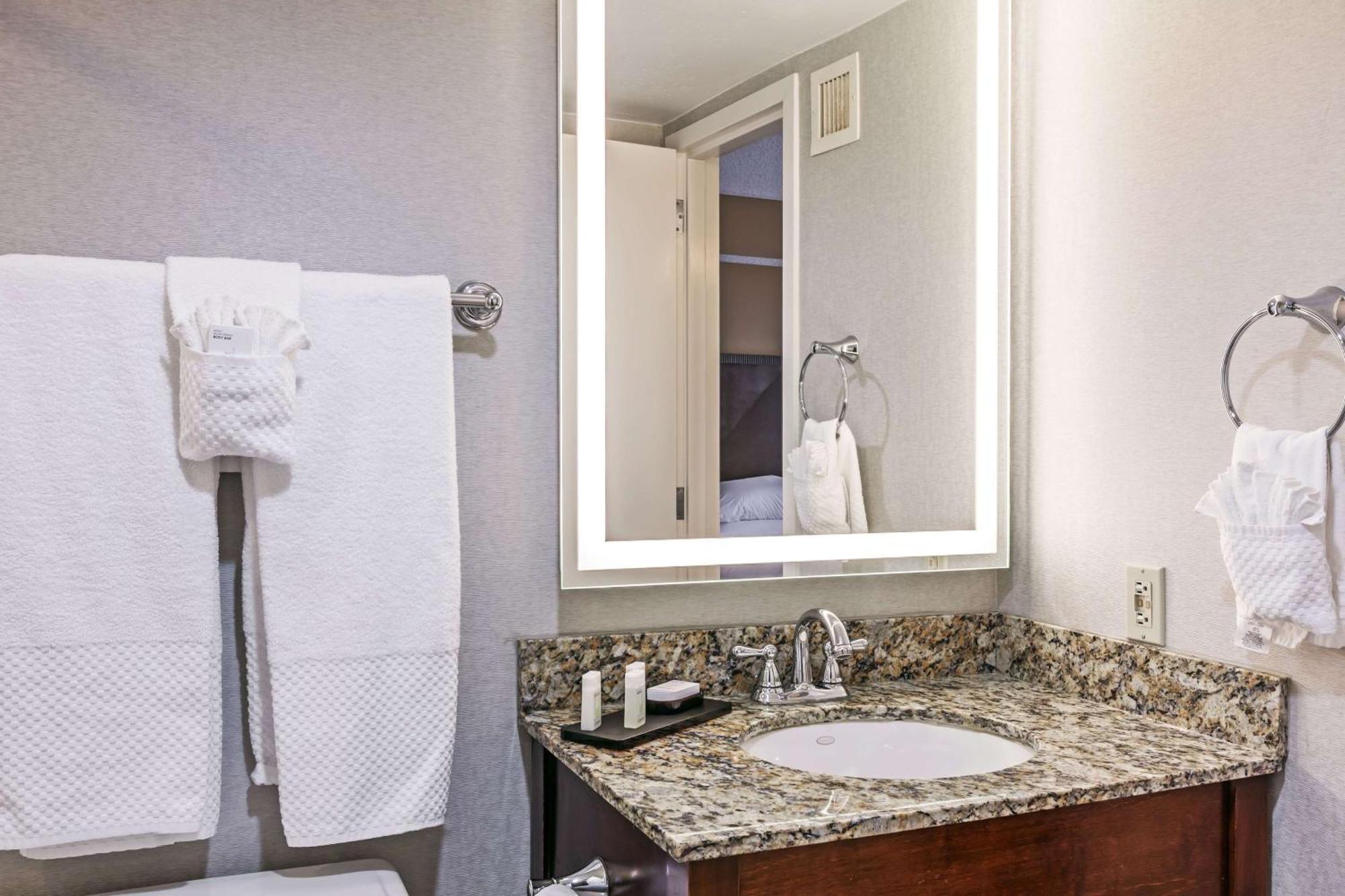One-Bedroom King Suite Roll Shower Mobility Access or Non-Smoking