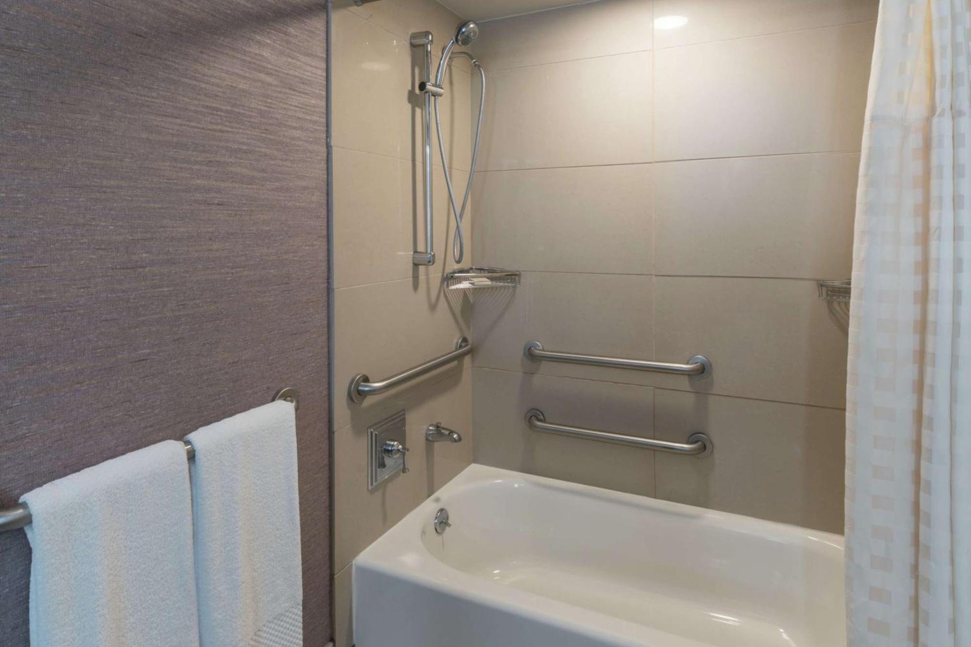 King Room Bath Tub Mobility Access