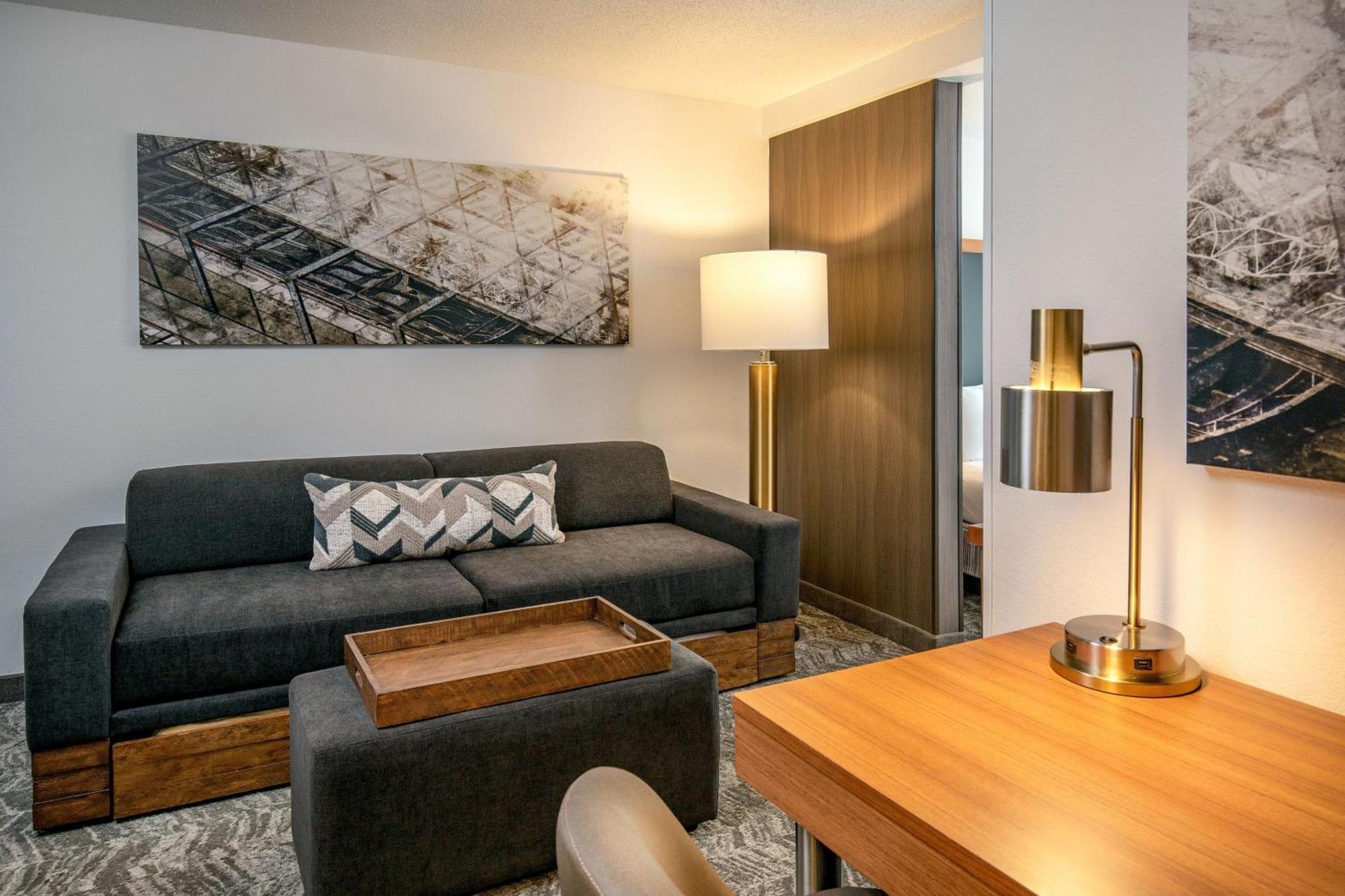Studio with King Bed, Transfer Shower, Bathtub and Trundle Sofa - Mobility Access/Hearing Accessible