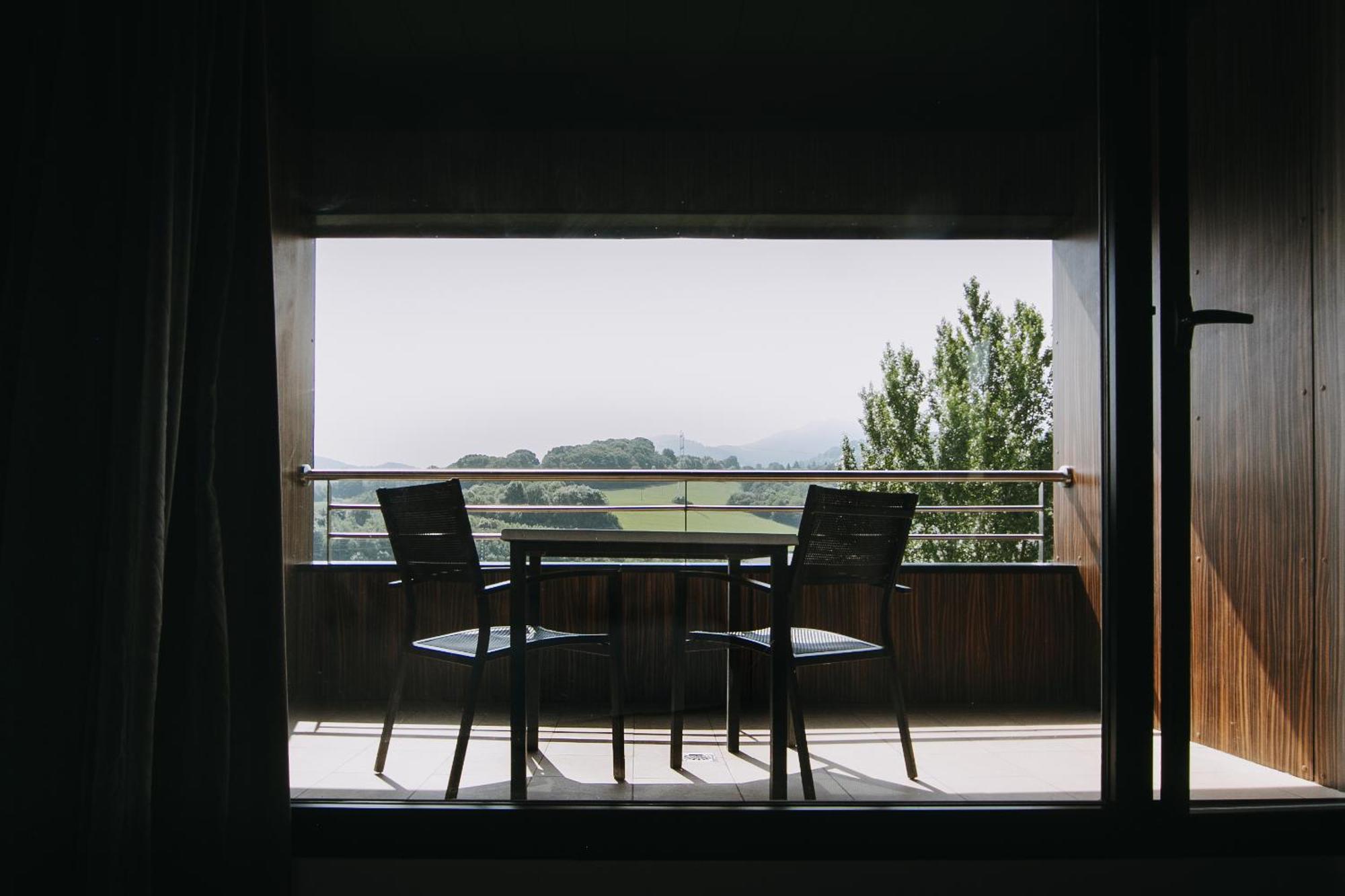 Double or Twin Room Terrace
