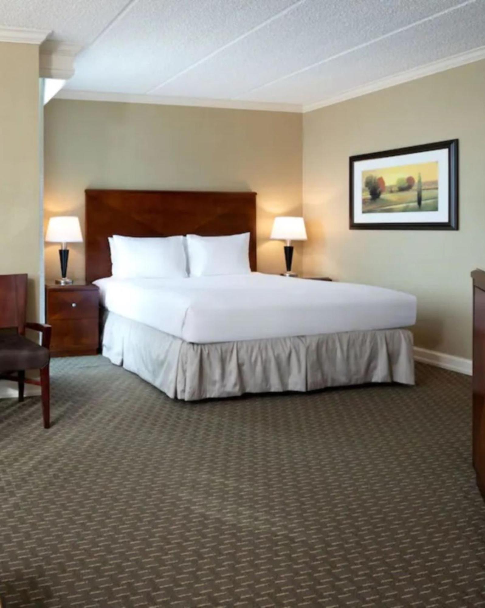 Junior King Suite