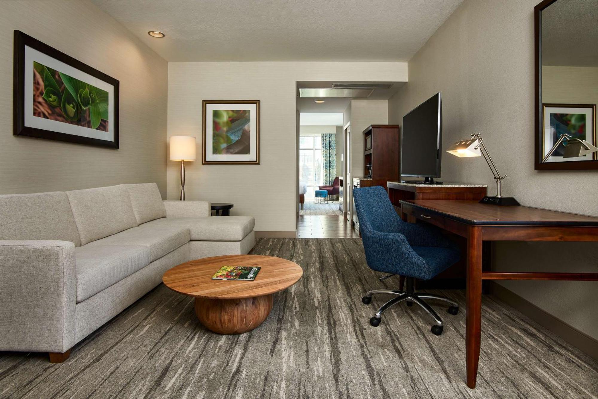 One-Bedroom King Suite Sofa Bed