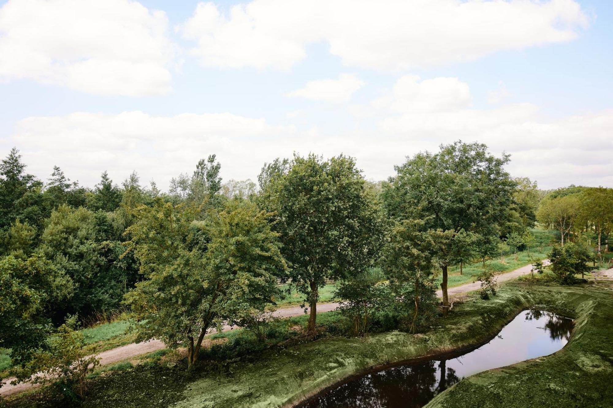 Deluxe Double Room Garden View