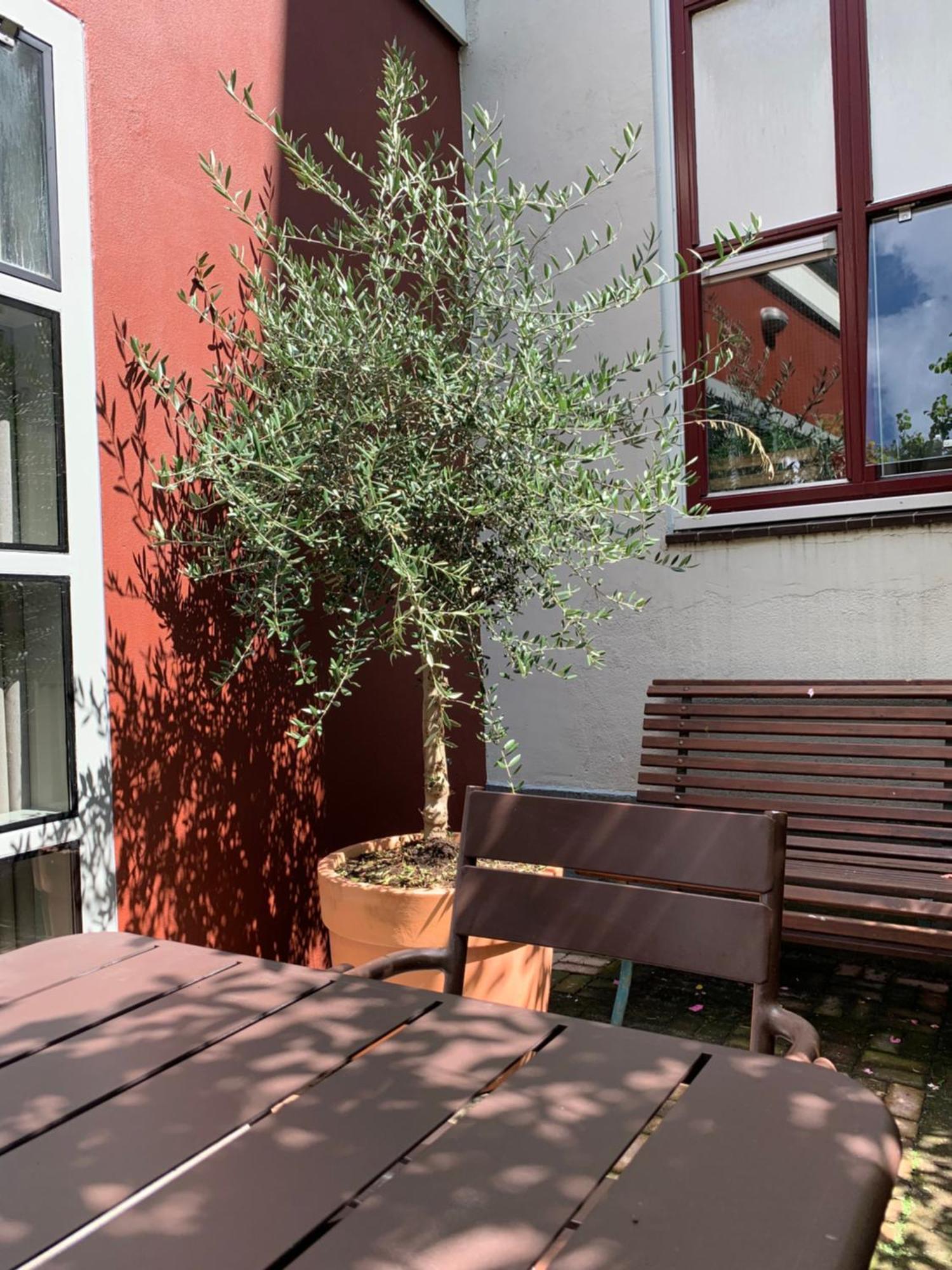 Double Room Terrace