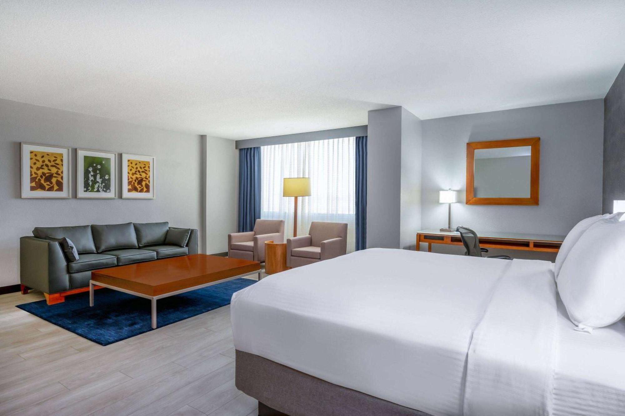 Deluxe King Room,1554840043:JPEG