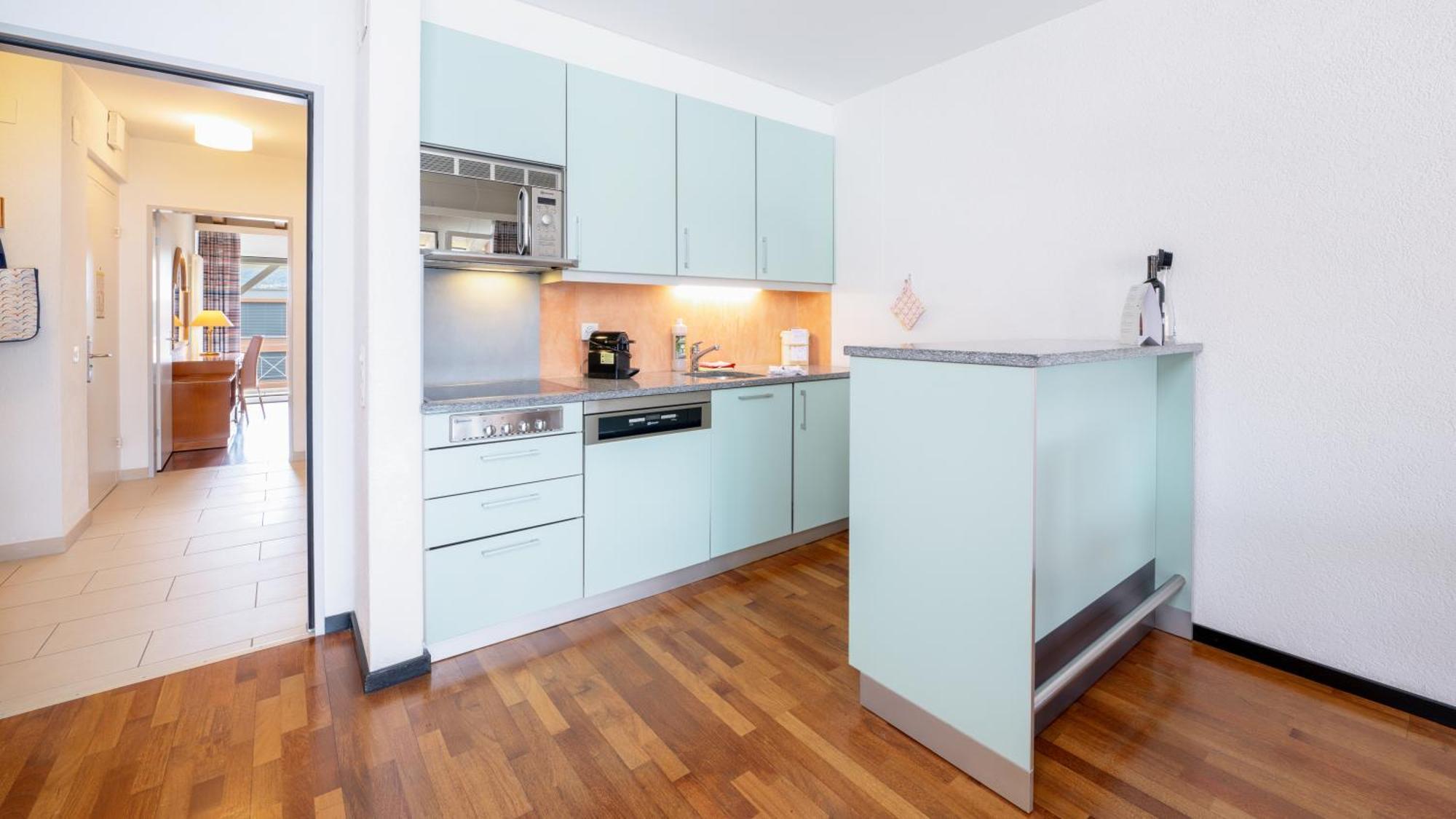 One-Bedroom Comfort Apartment