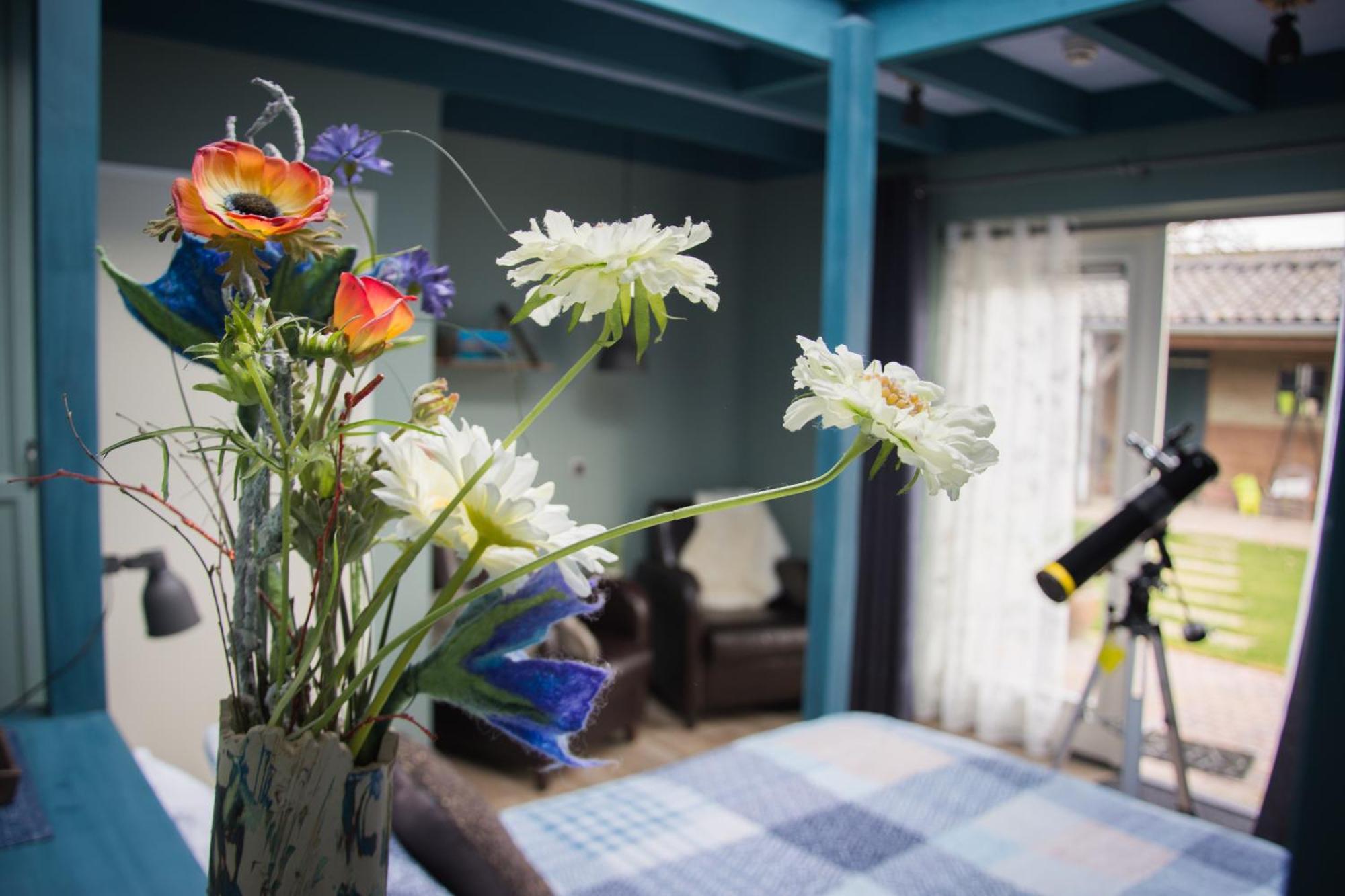 Studio Garden View