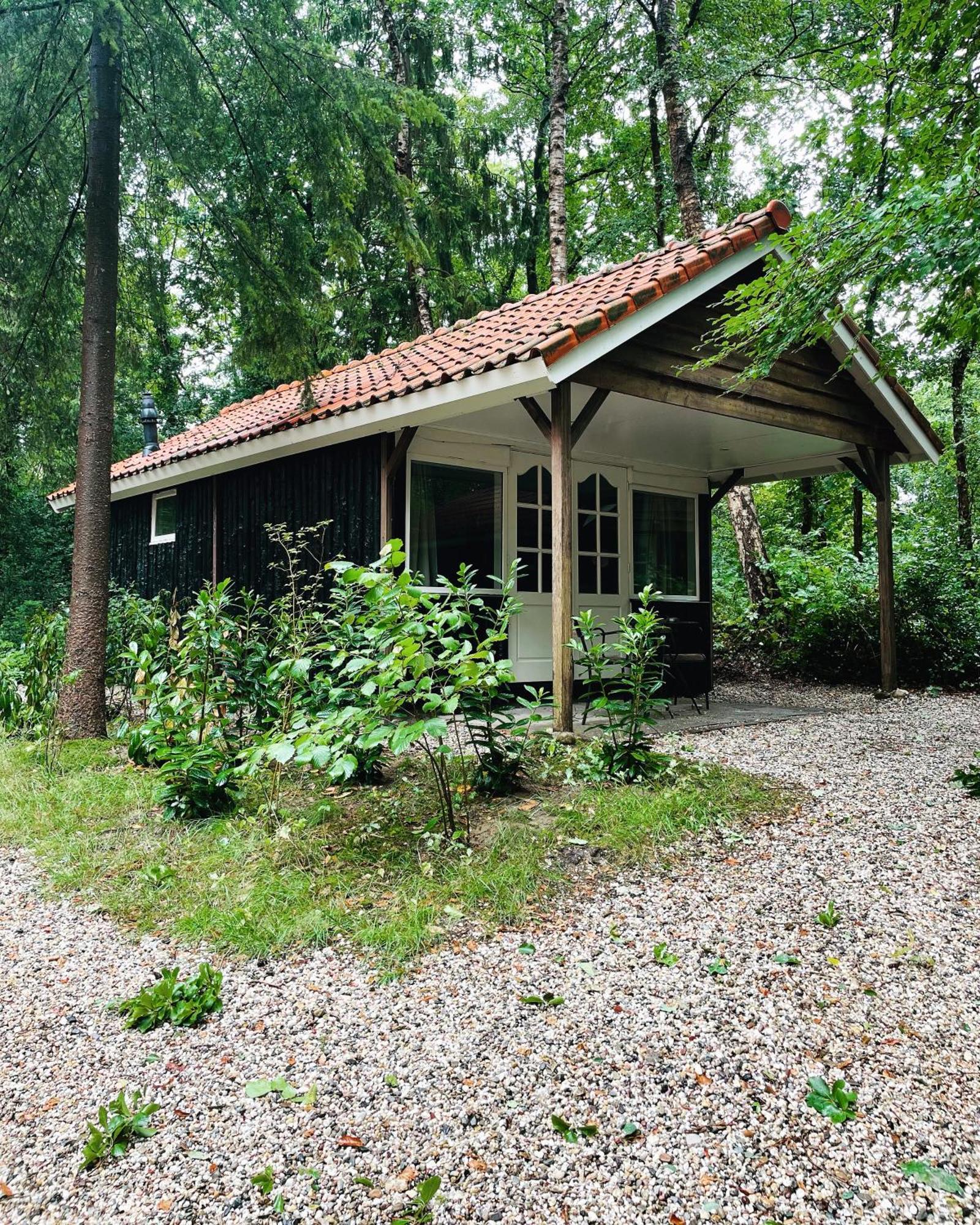 Lodge