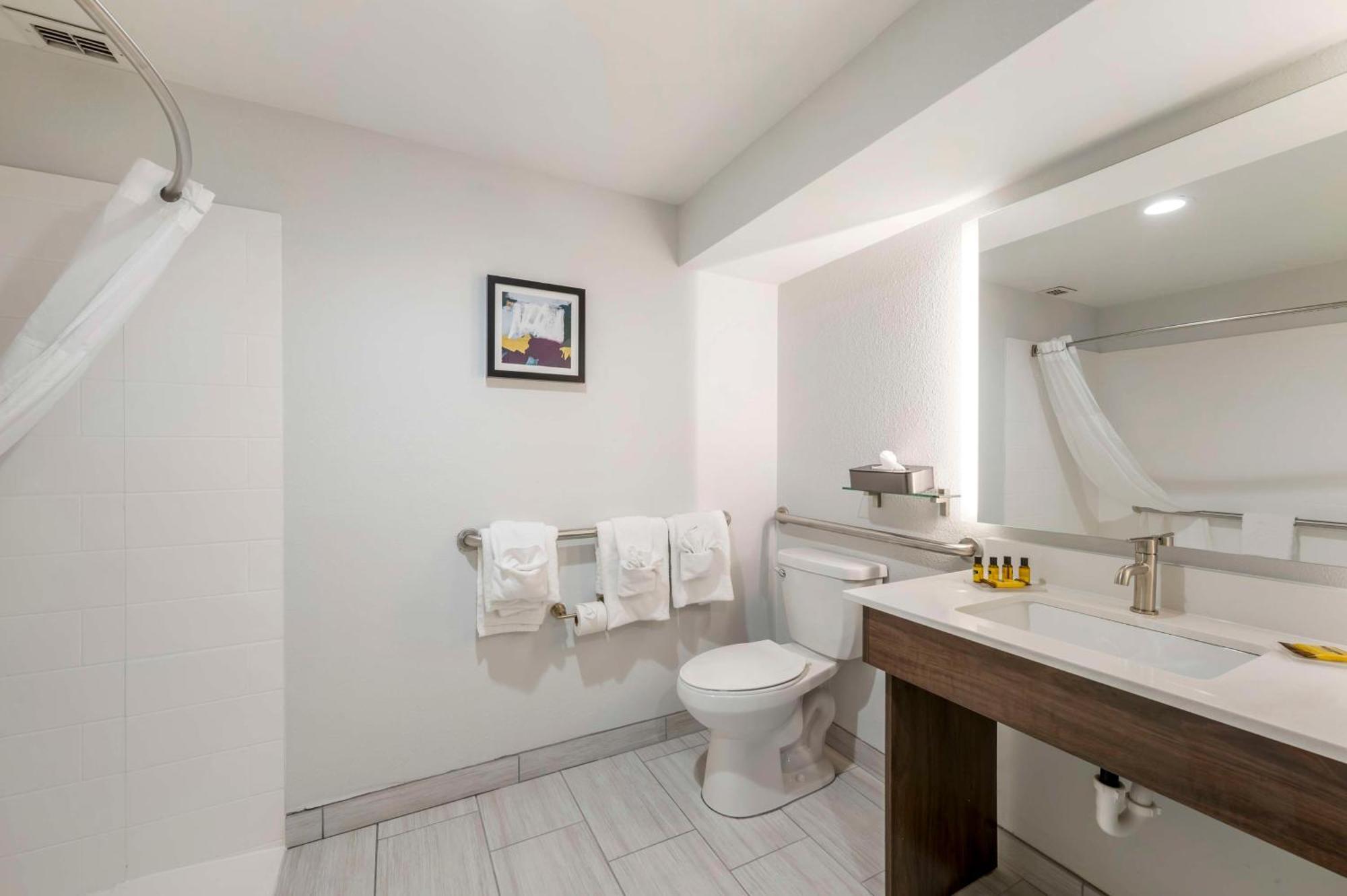 King Room Roll Shower Disability Access