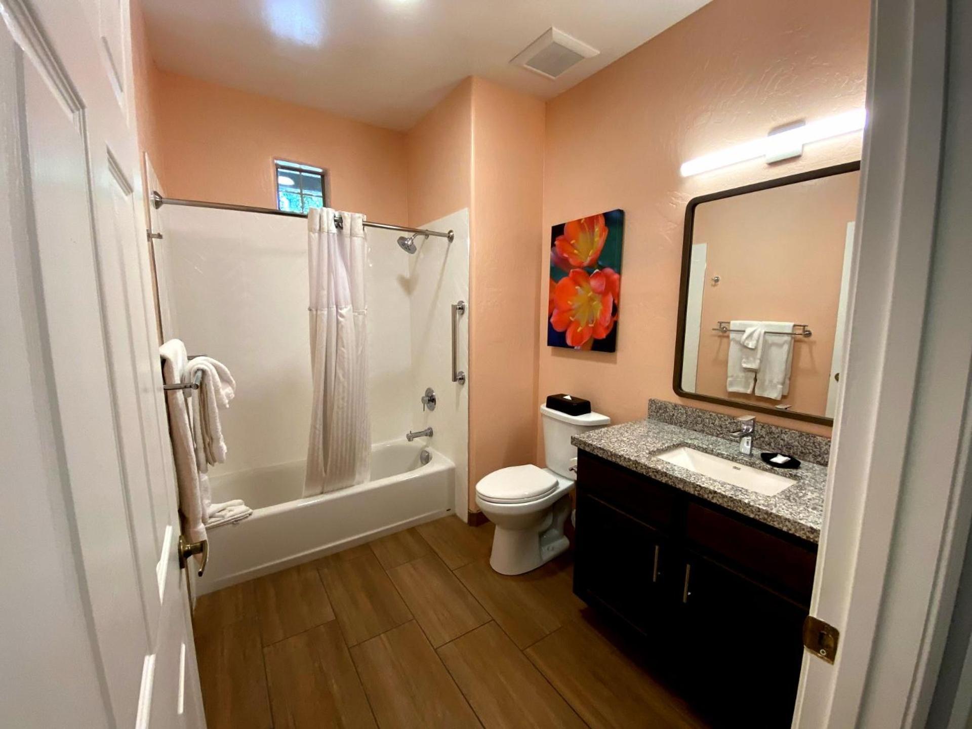 One-Bedroom Apartment,1557028609:JPEG