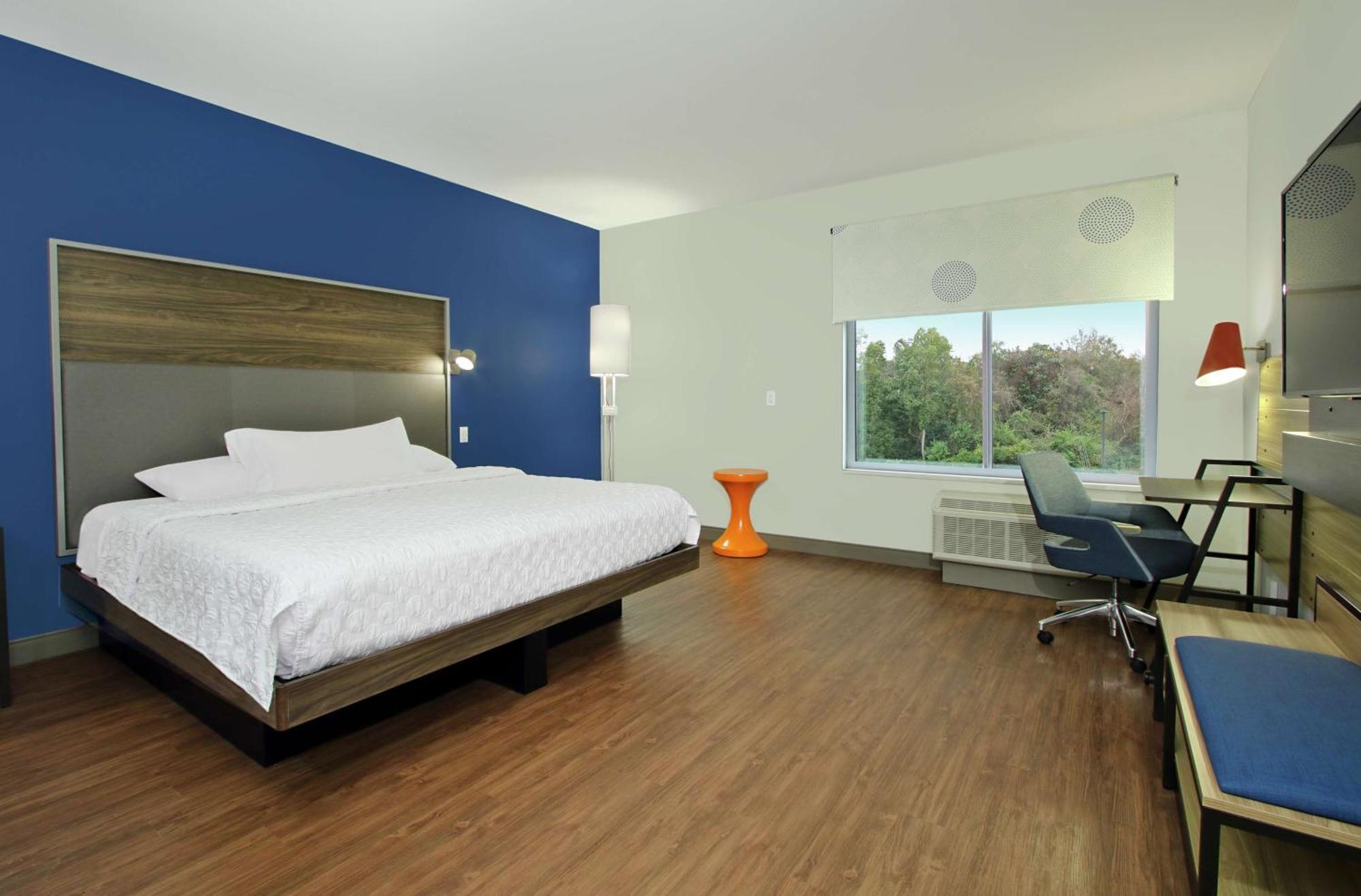 King Room Accessible Tub Mobility Access