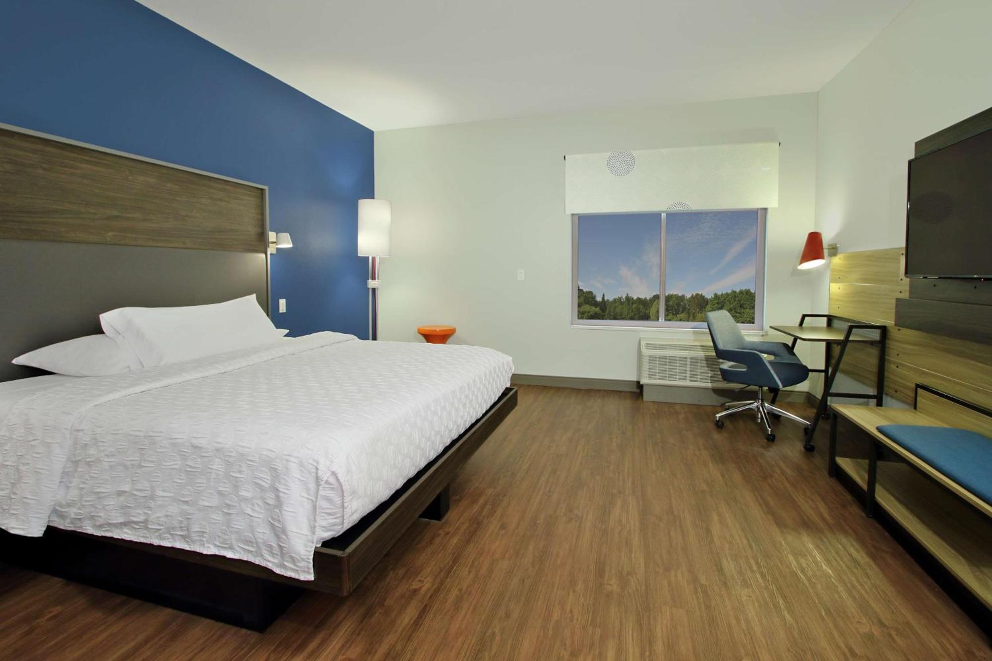 King Room Accessible Tub Mobility Access