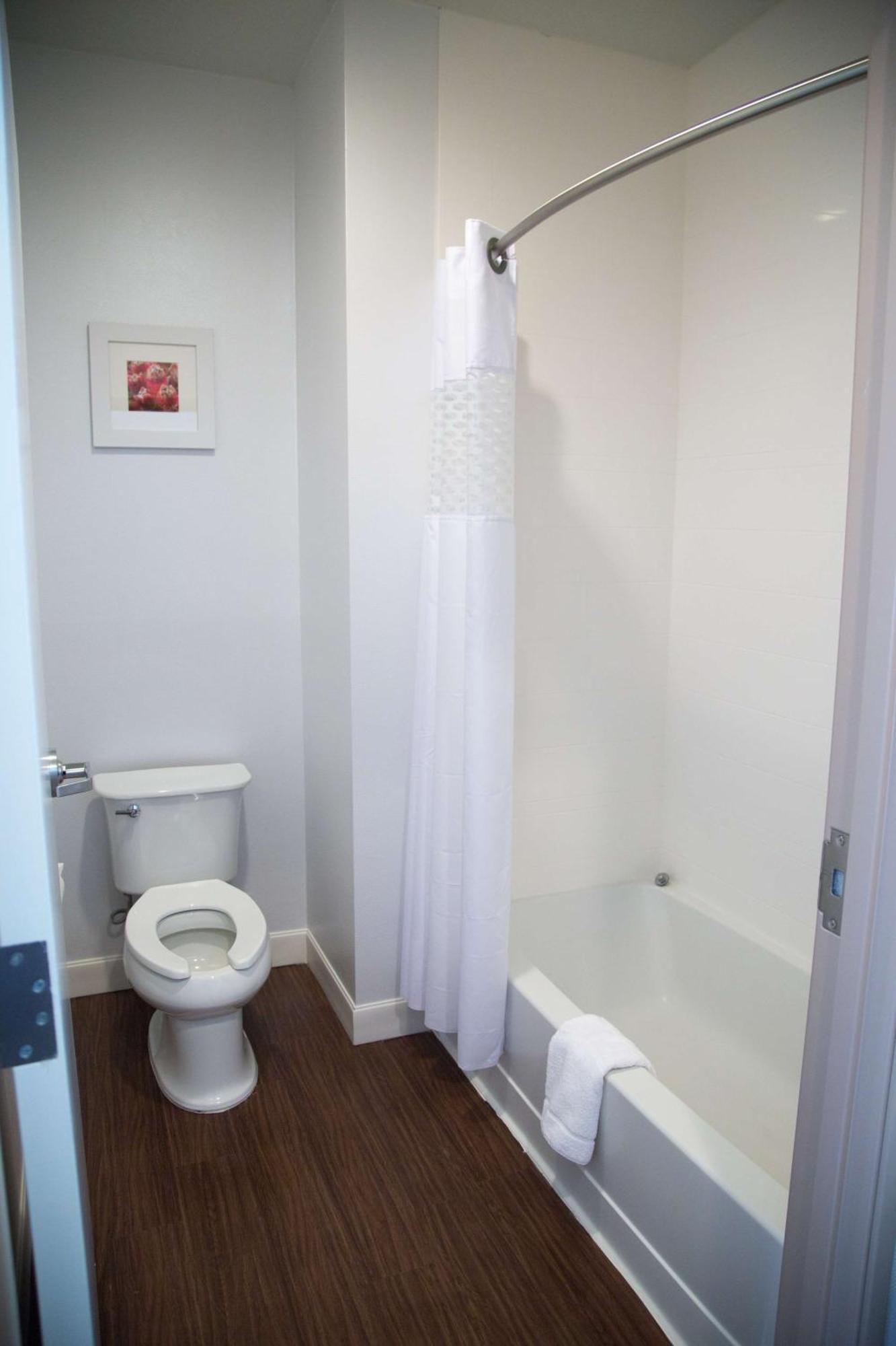 King Studio Suite Non Smoking