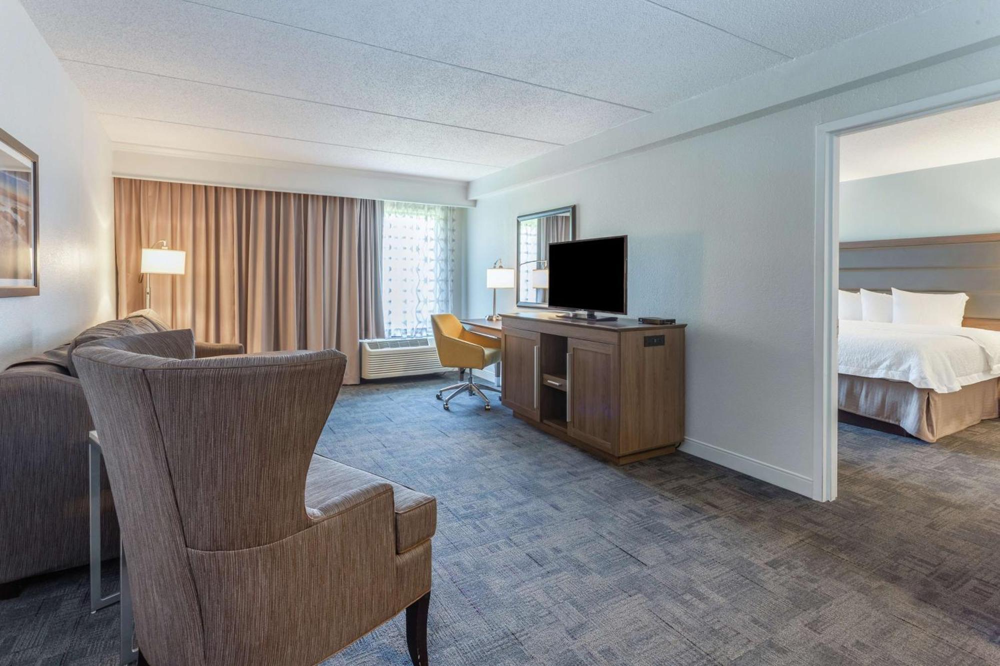 One-Bedroom King Suite Non-Smoking