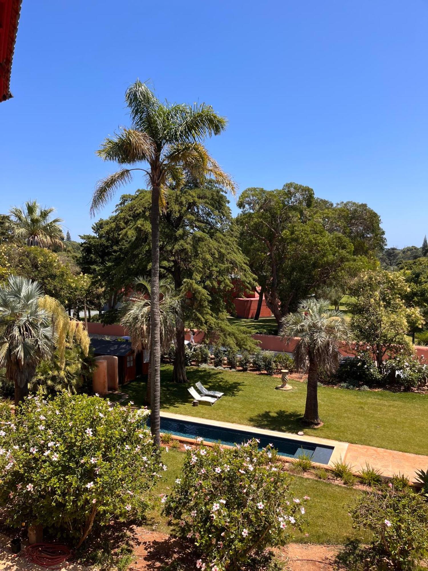 Superior King Room Garden View