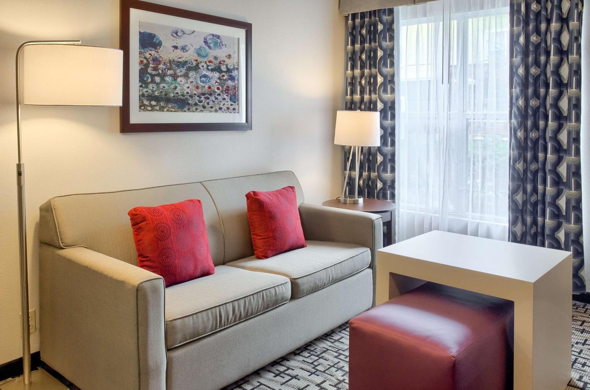 One-Bedroom King Suite Non-Smoking
