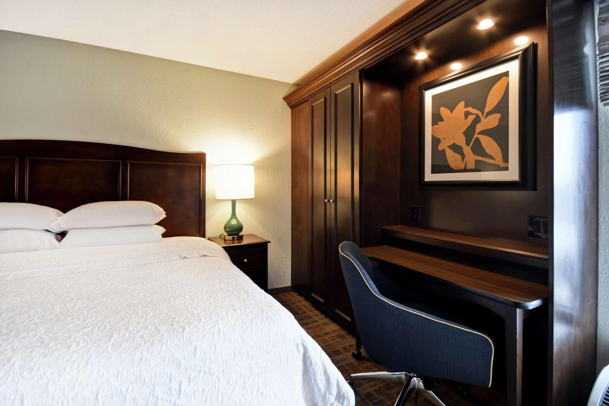 King Room Mobility Accessible Bath Tub