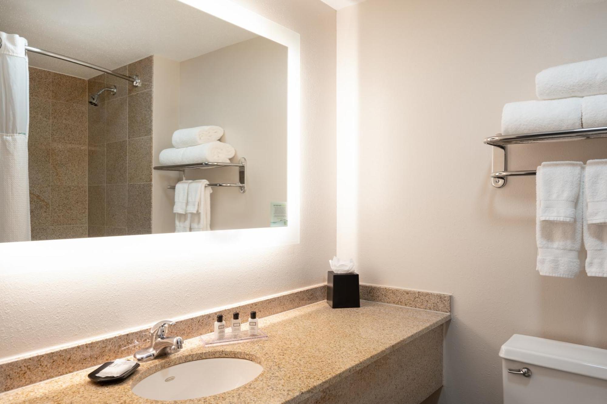 Premier King Room